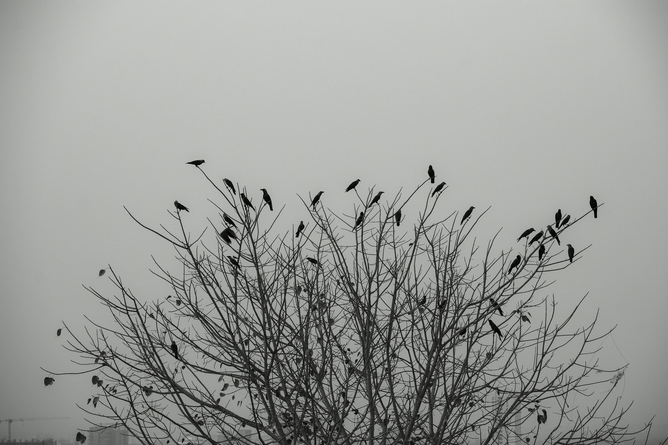 Photo by sagarkulkarni