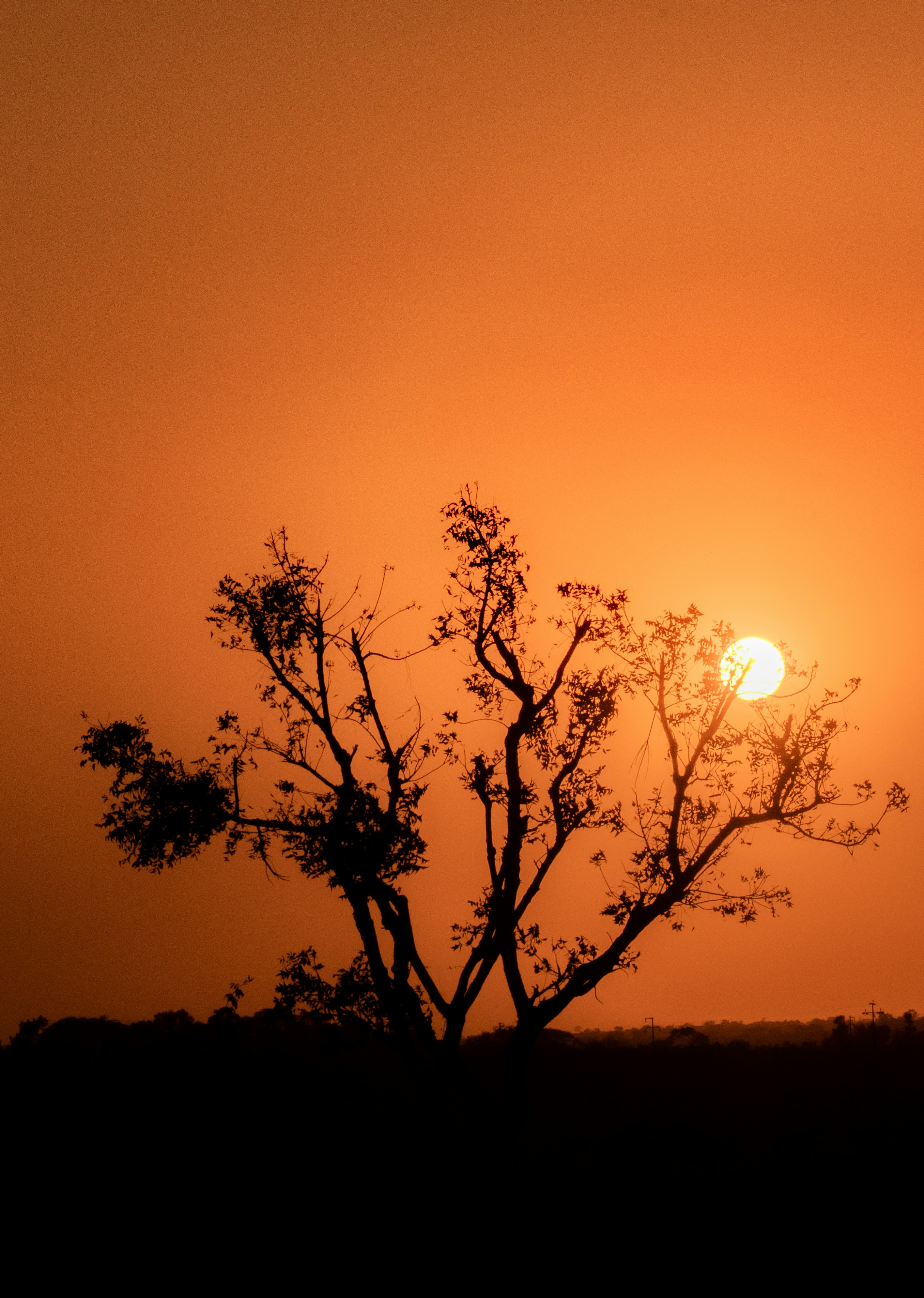 Photo by sagarkulkarni