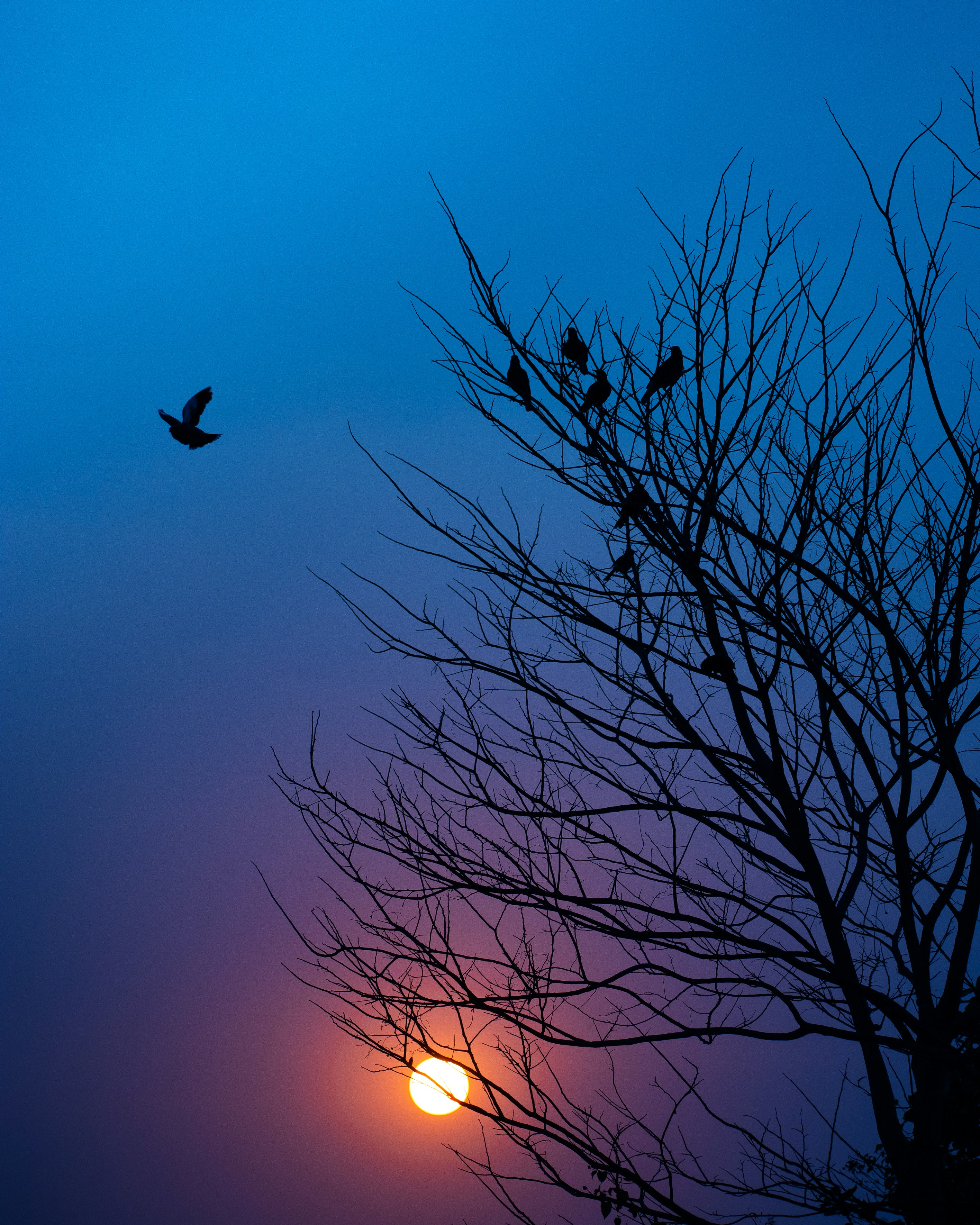 Photo by sagarkulkarni