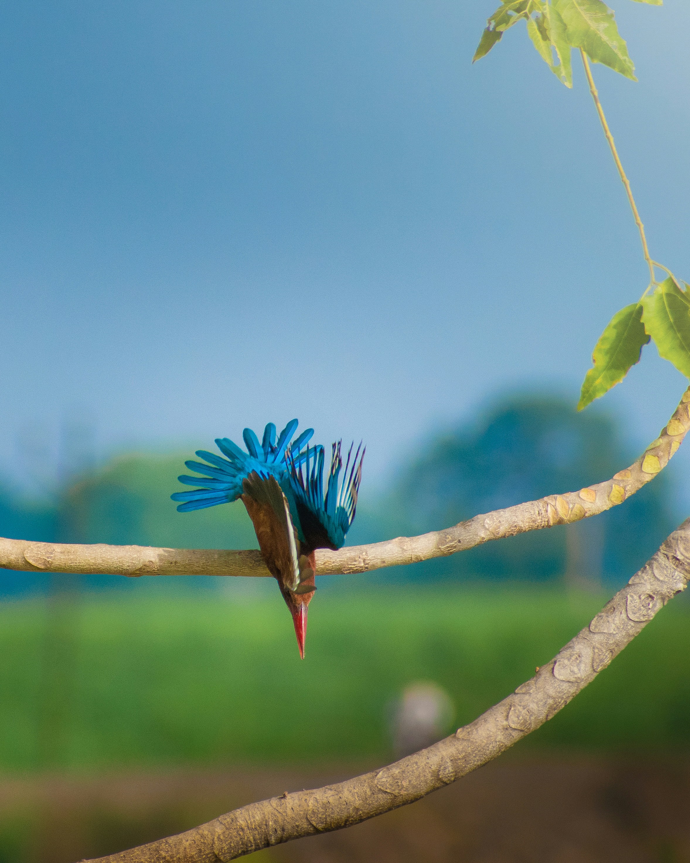 Photo by sagarkulkarni