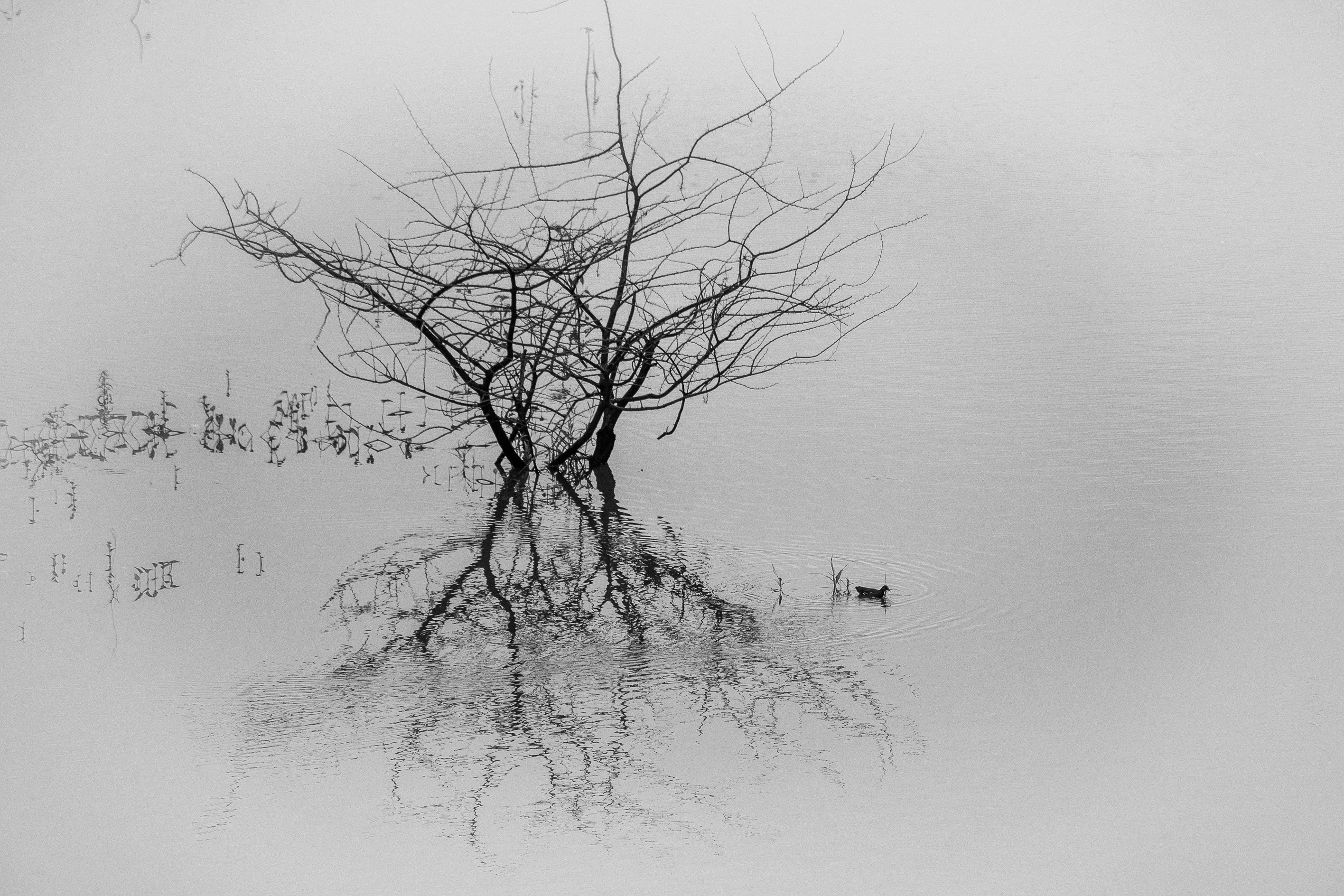 Photo by sagarkulkarni