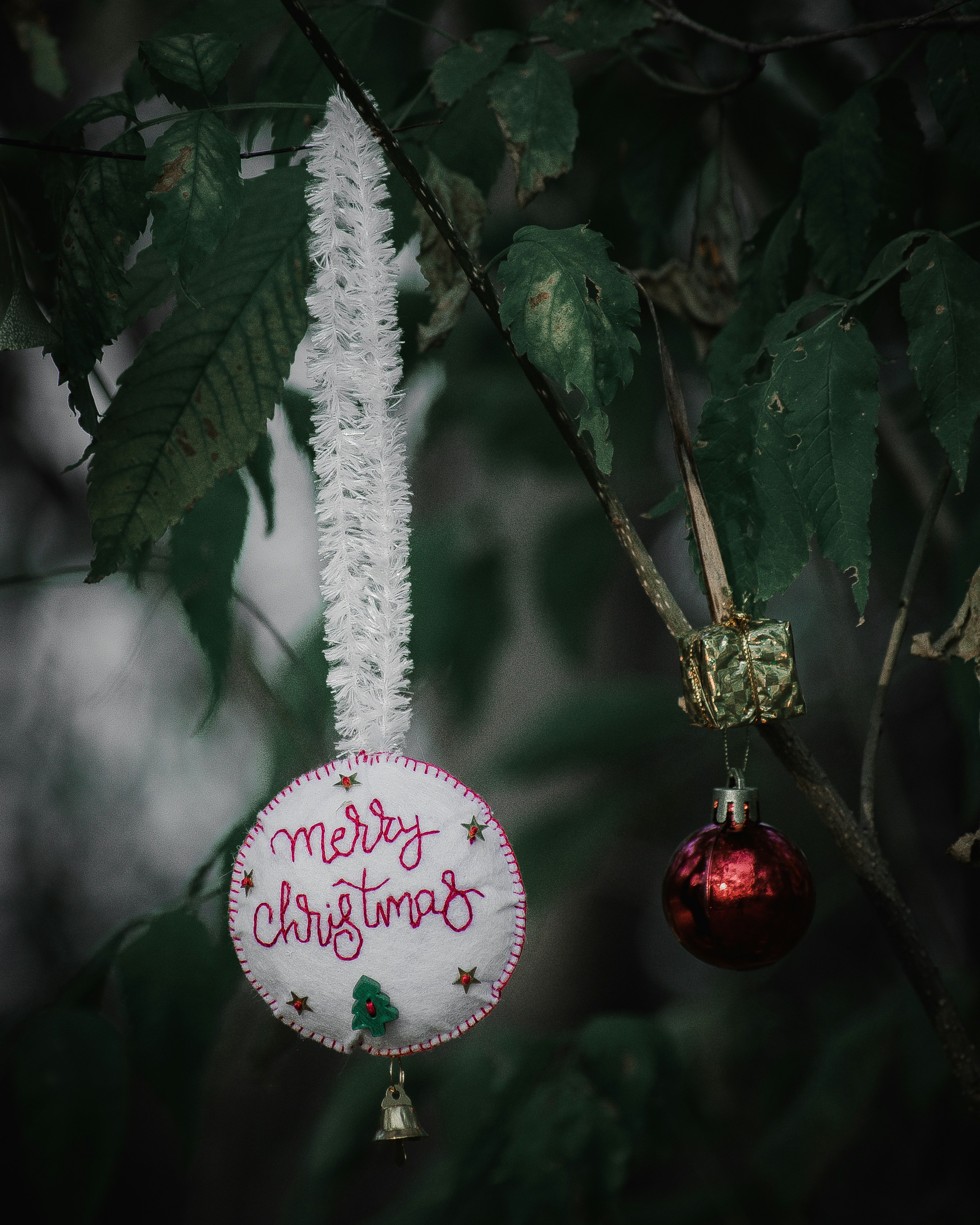 Photo by sagarkulkarni