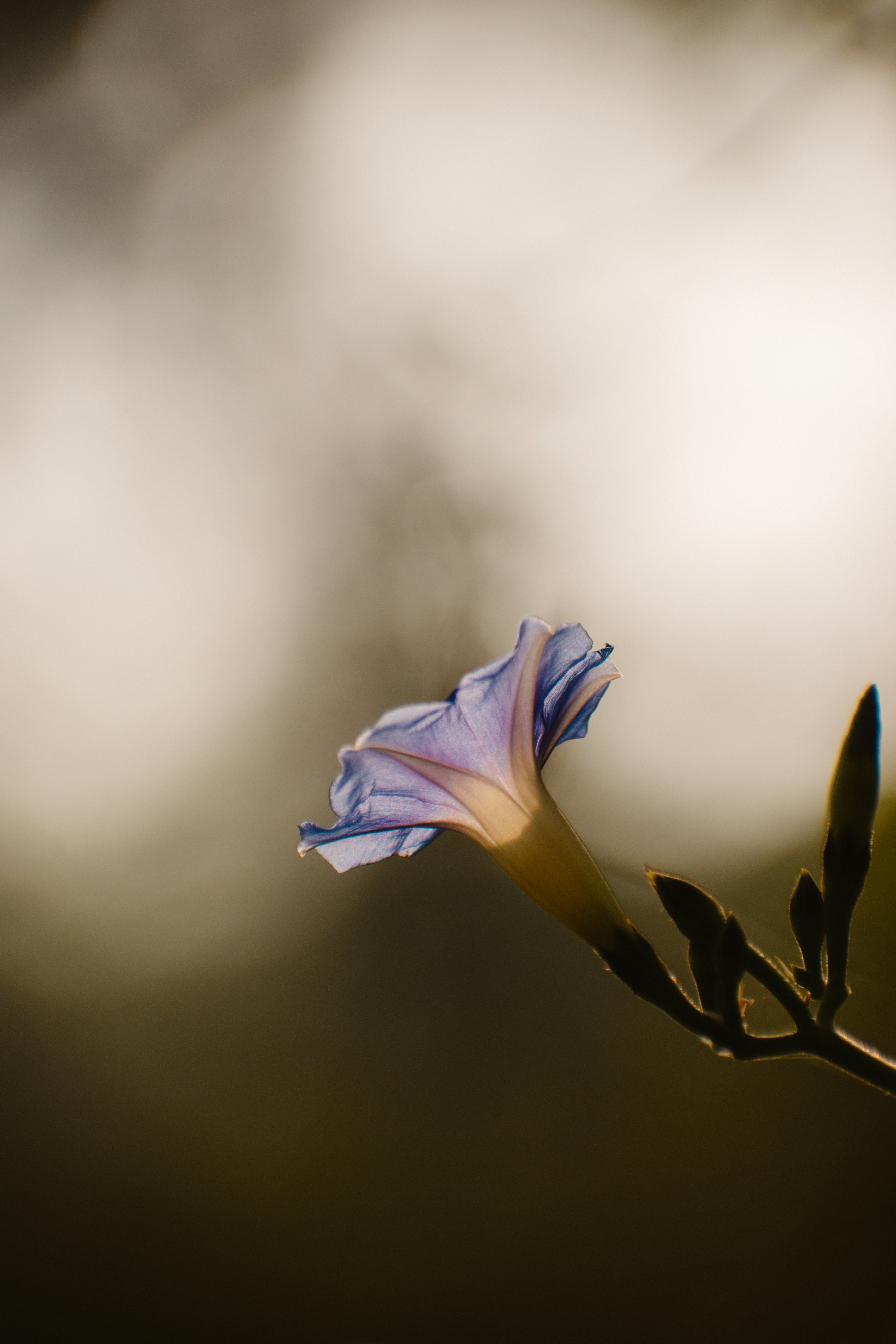 Photo by sagarkulkarni