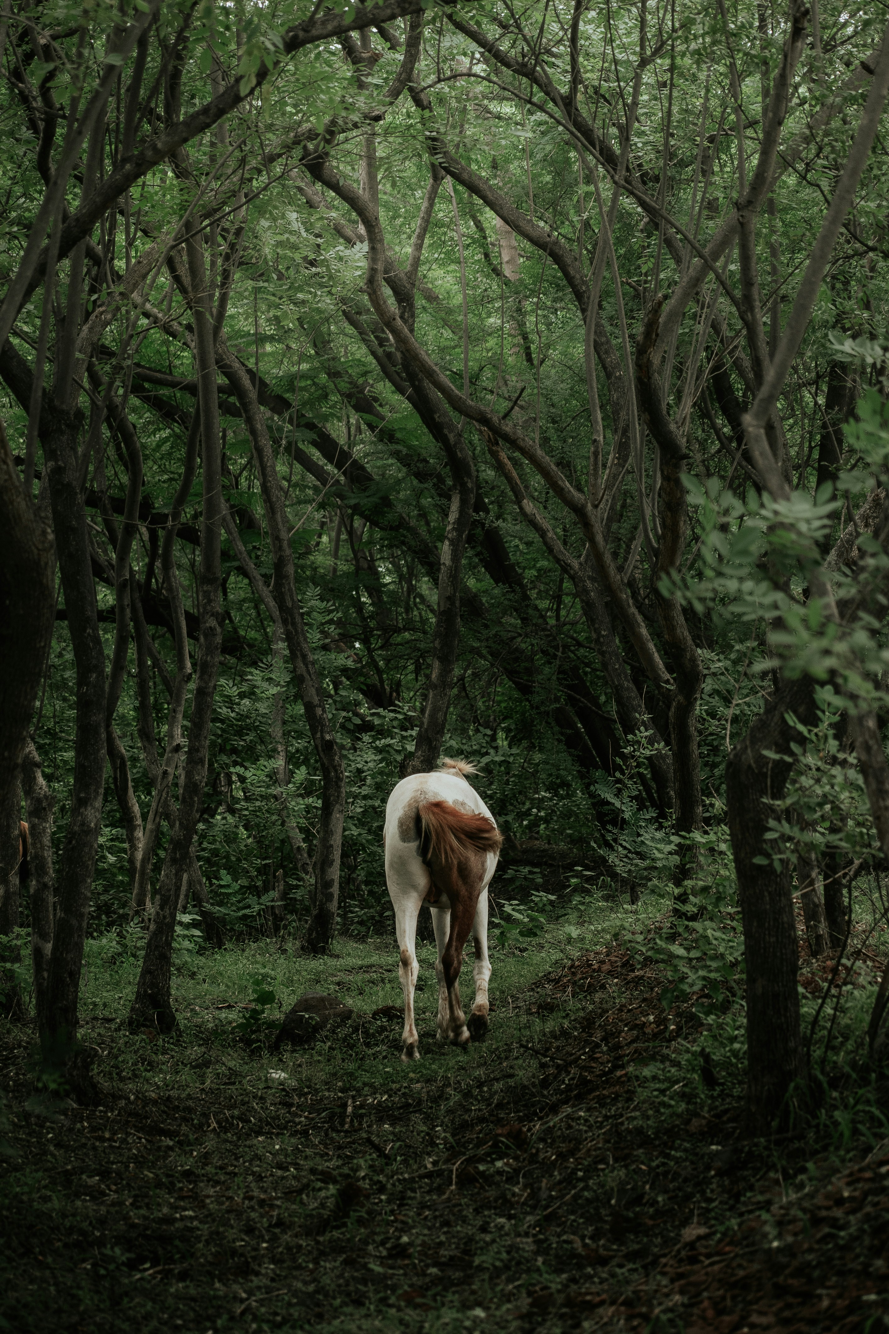 Photo by sagarkulkarni