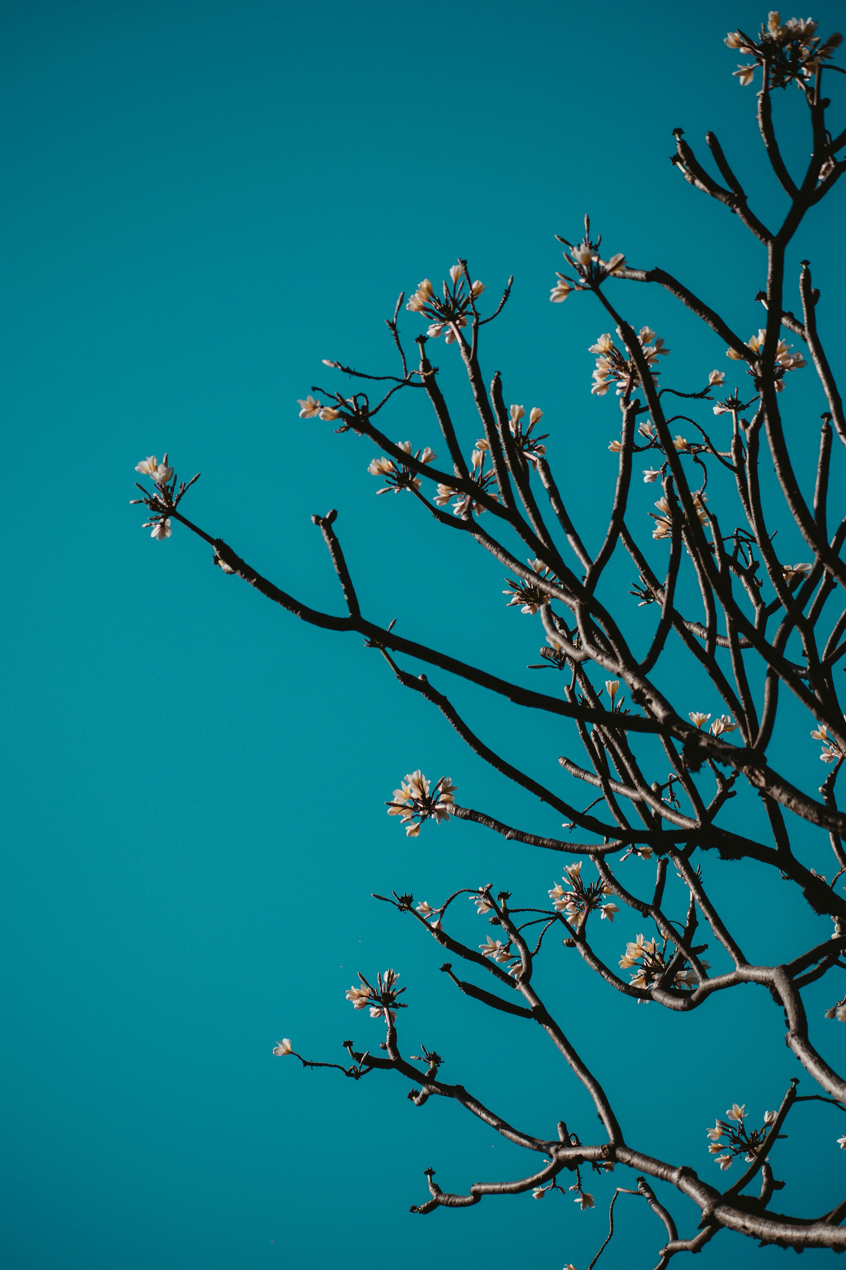 Photo by sagarkulkarni
