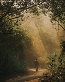 A lone traveler walking along a lush green forest path in Indonesia.