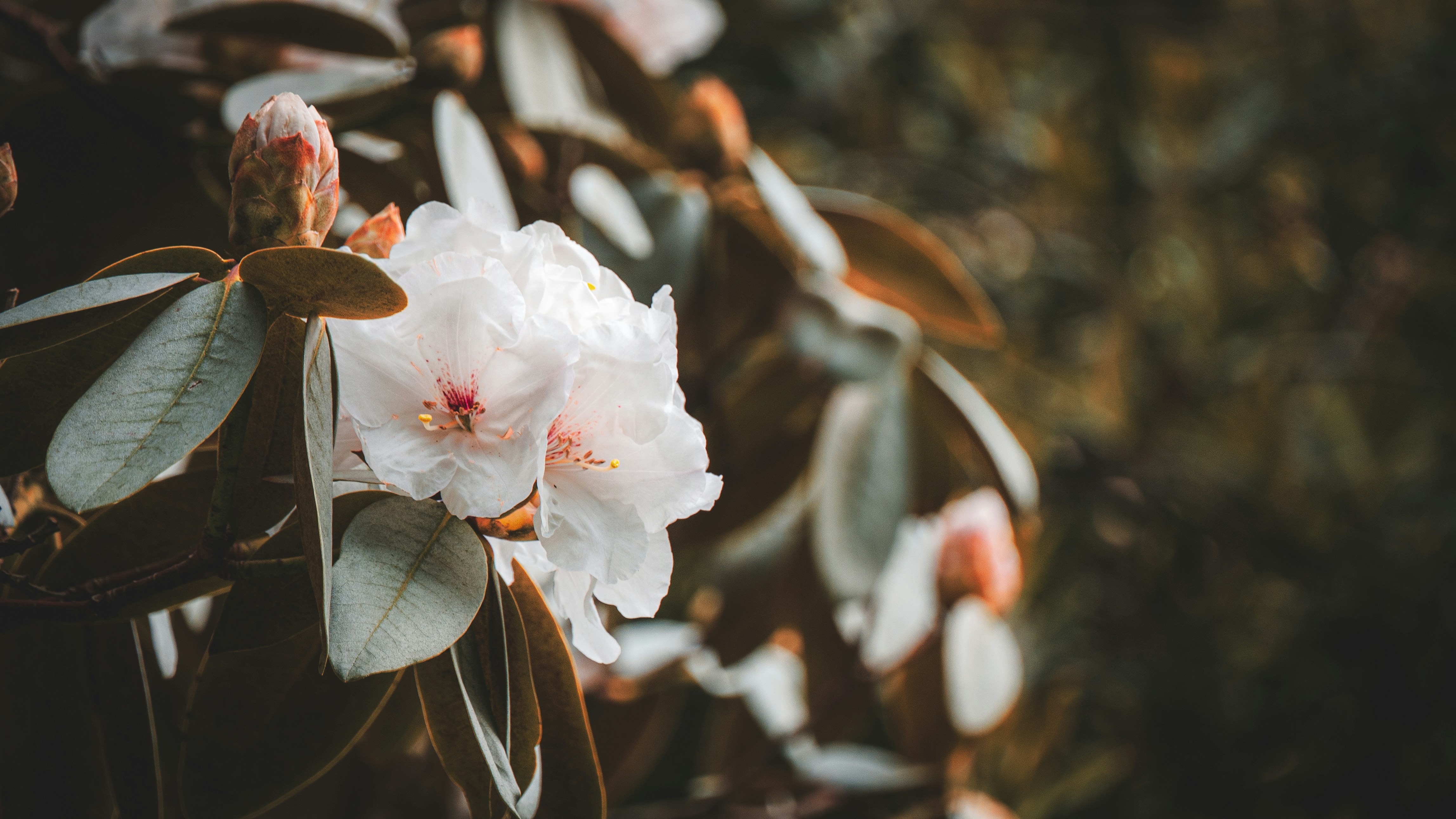 Photo by _extraordinary_ordinary