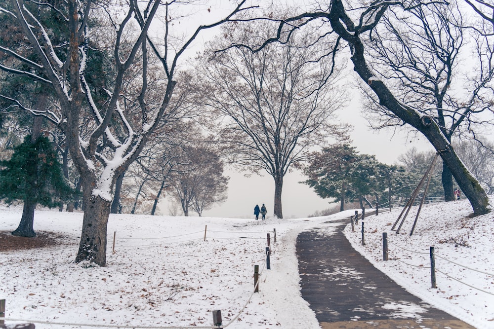 two people walking down a path in the snow
