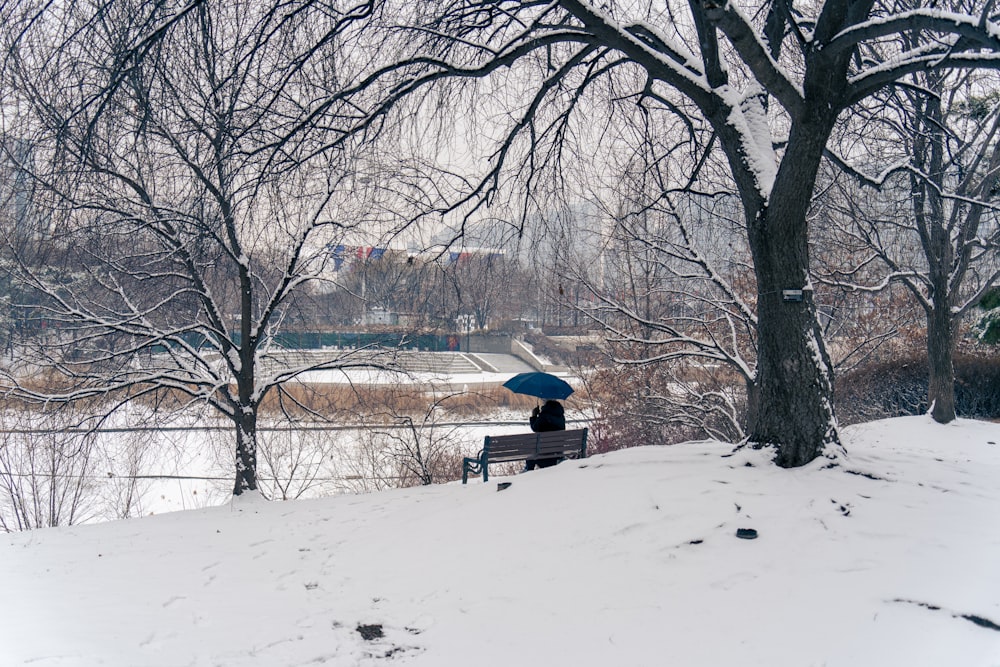 a person sitting on a bench under a blue umbrella