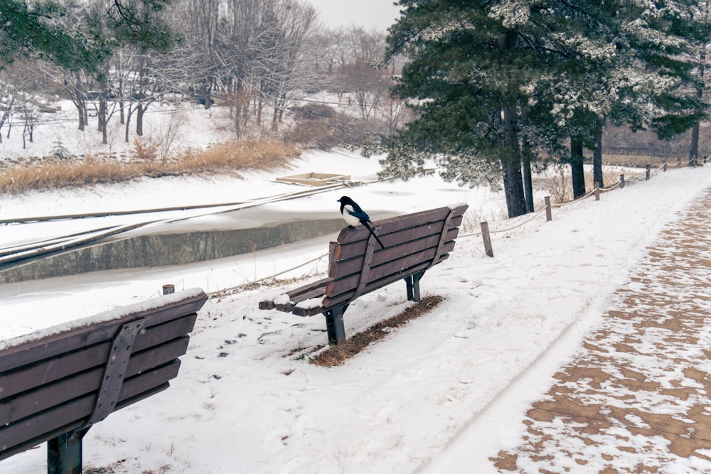 a wooden bench sitting on top of a snow covered field