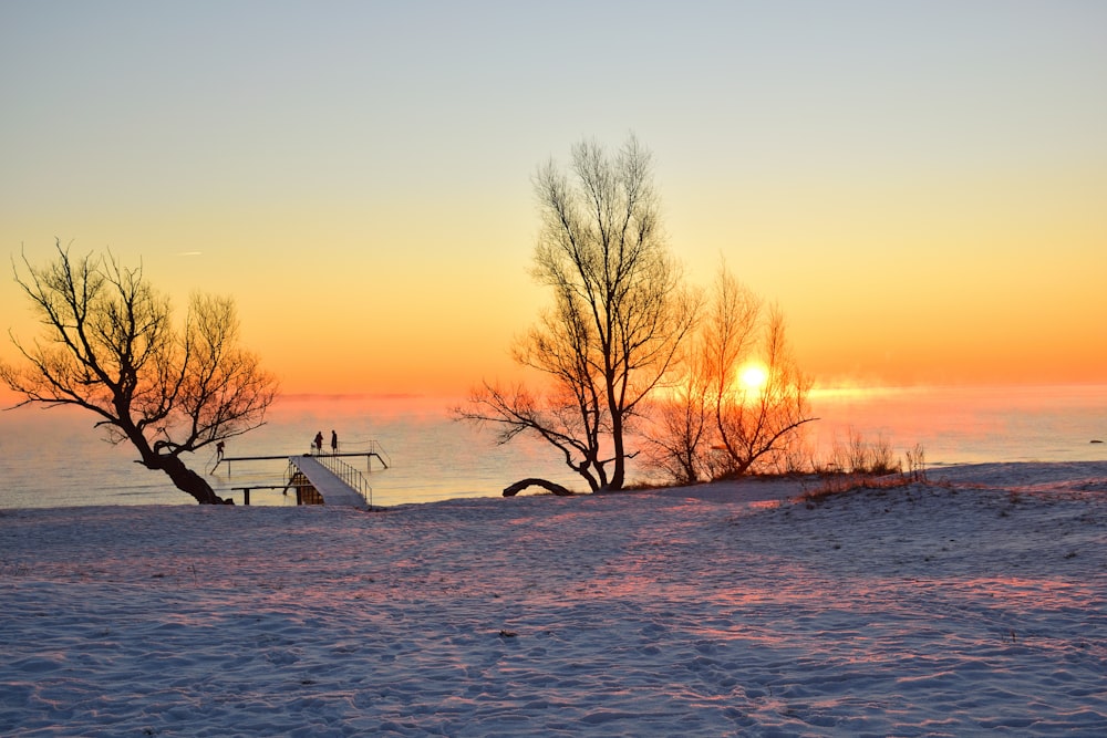 a bench sitting on top of a snow covered field