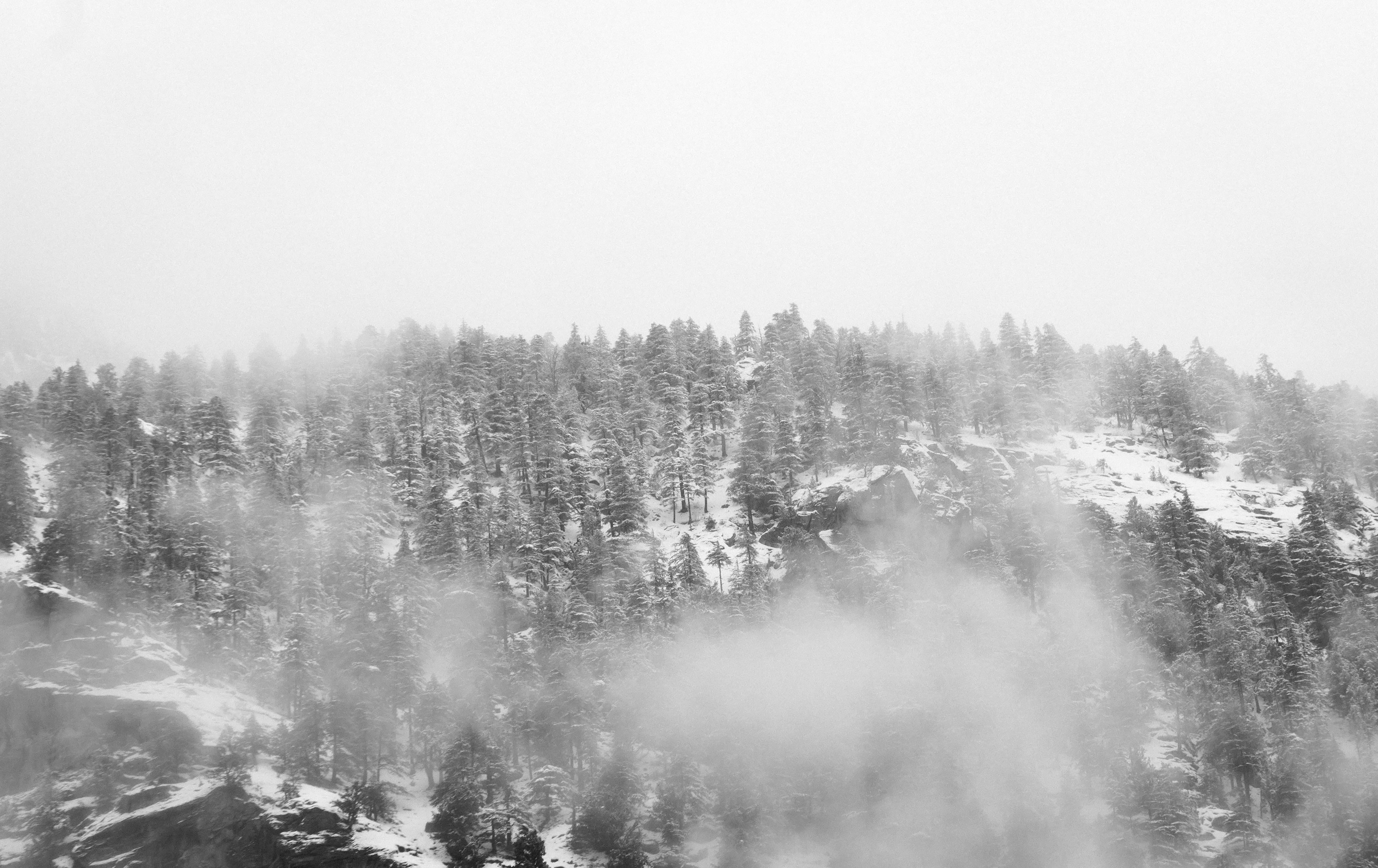 Photo by manoharreddy