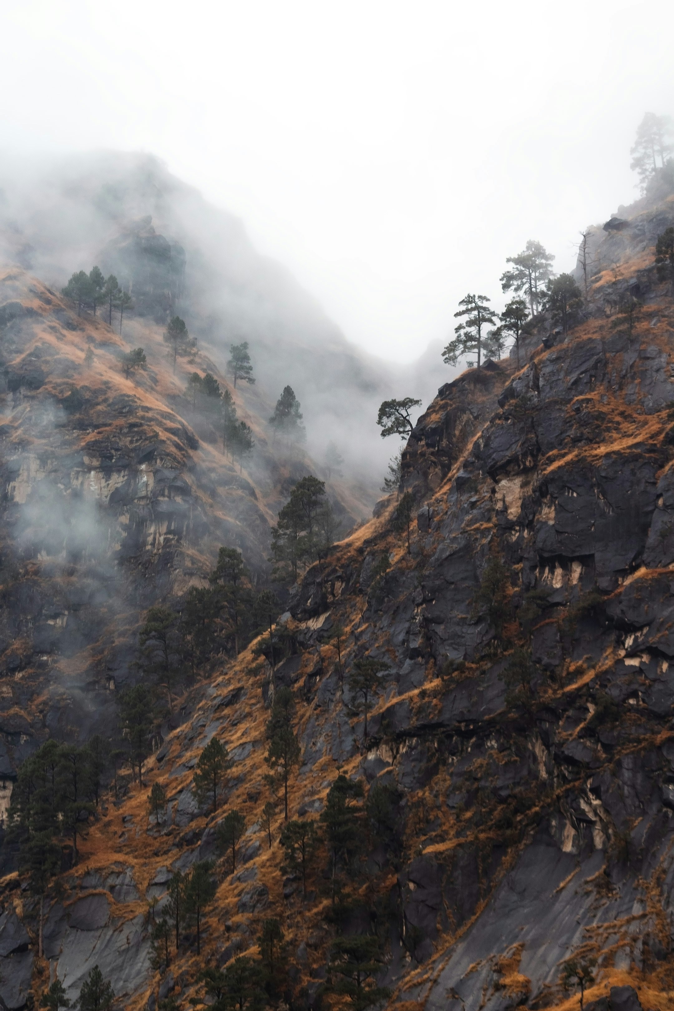 6 Himalayan Guide Insights on Trekking with Local Porters