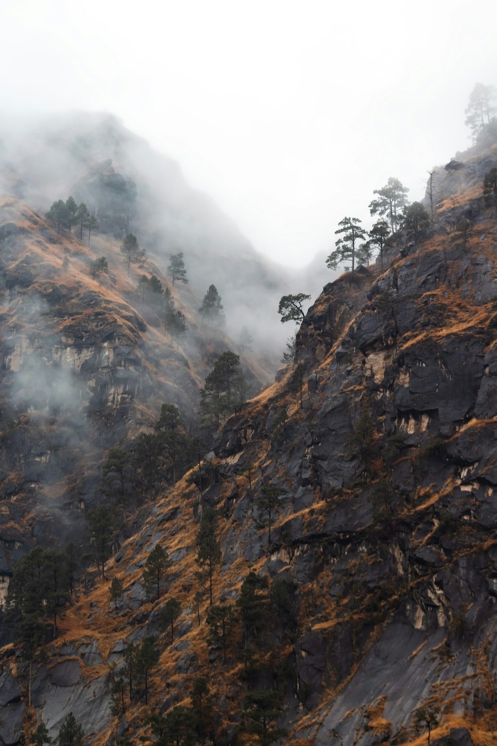 a mountain covered in fog with trees on top of it