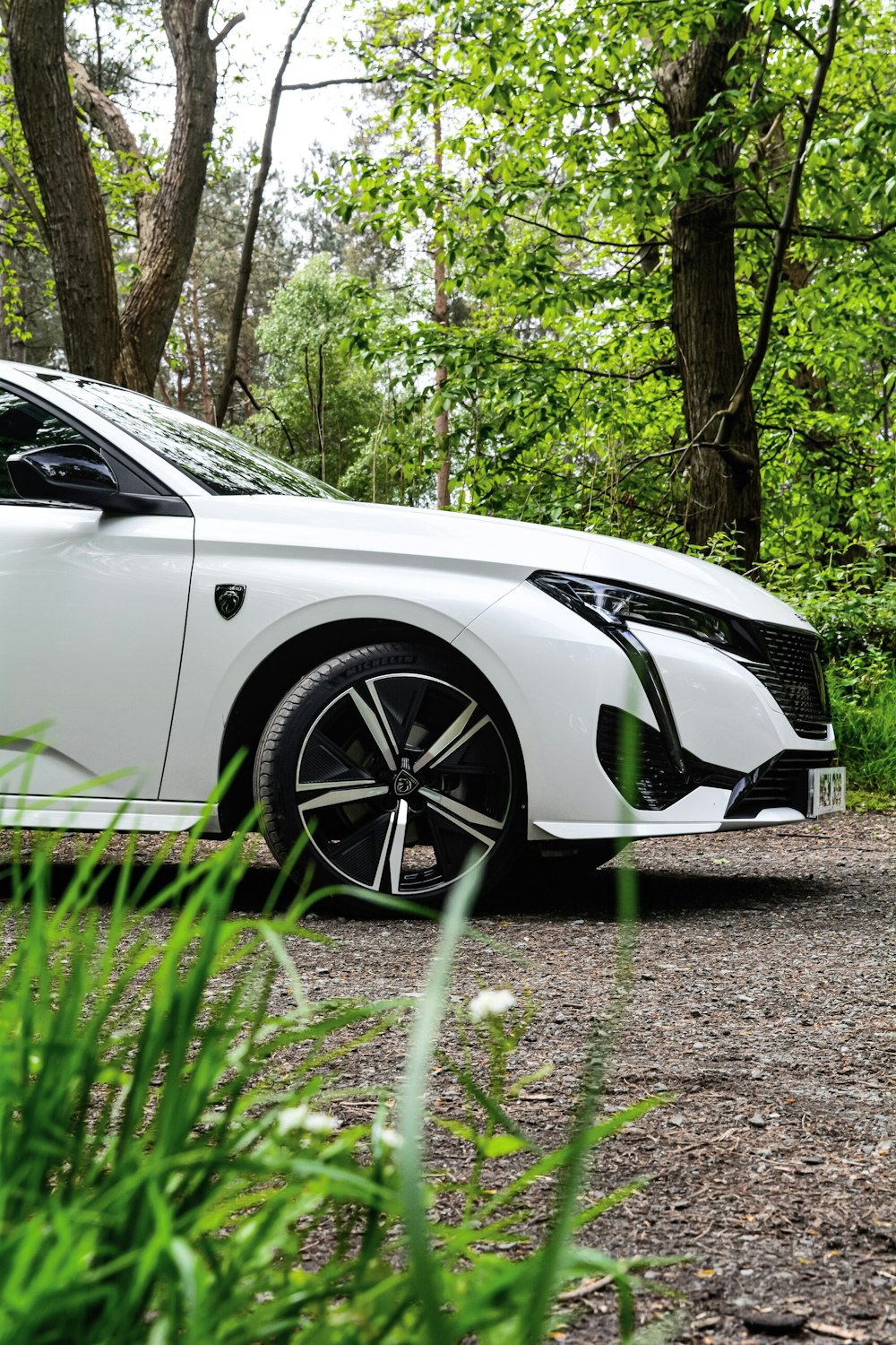 a white car parked in a wooded area