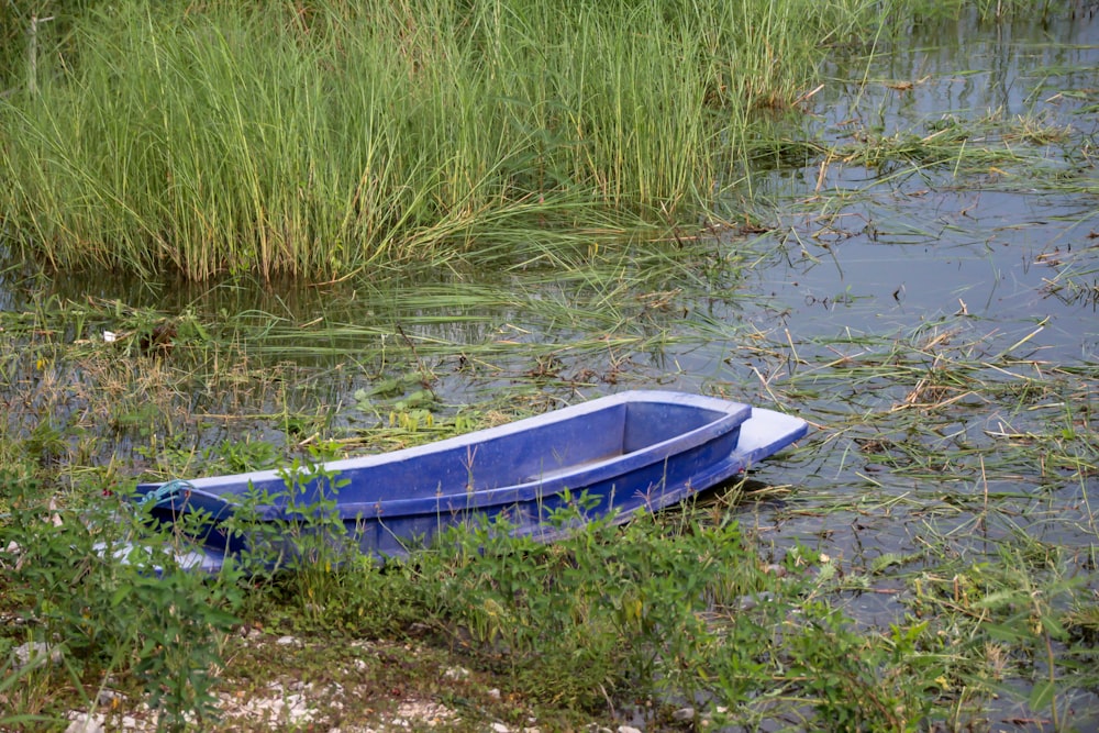 a small blue boat sitting in the middle of a swamp