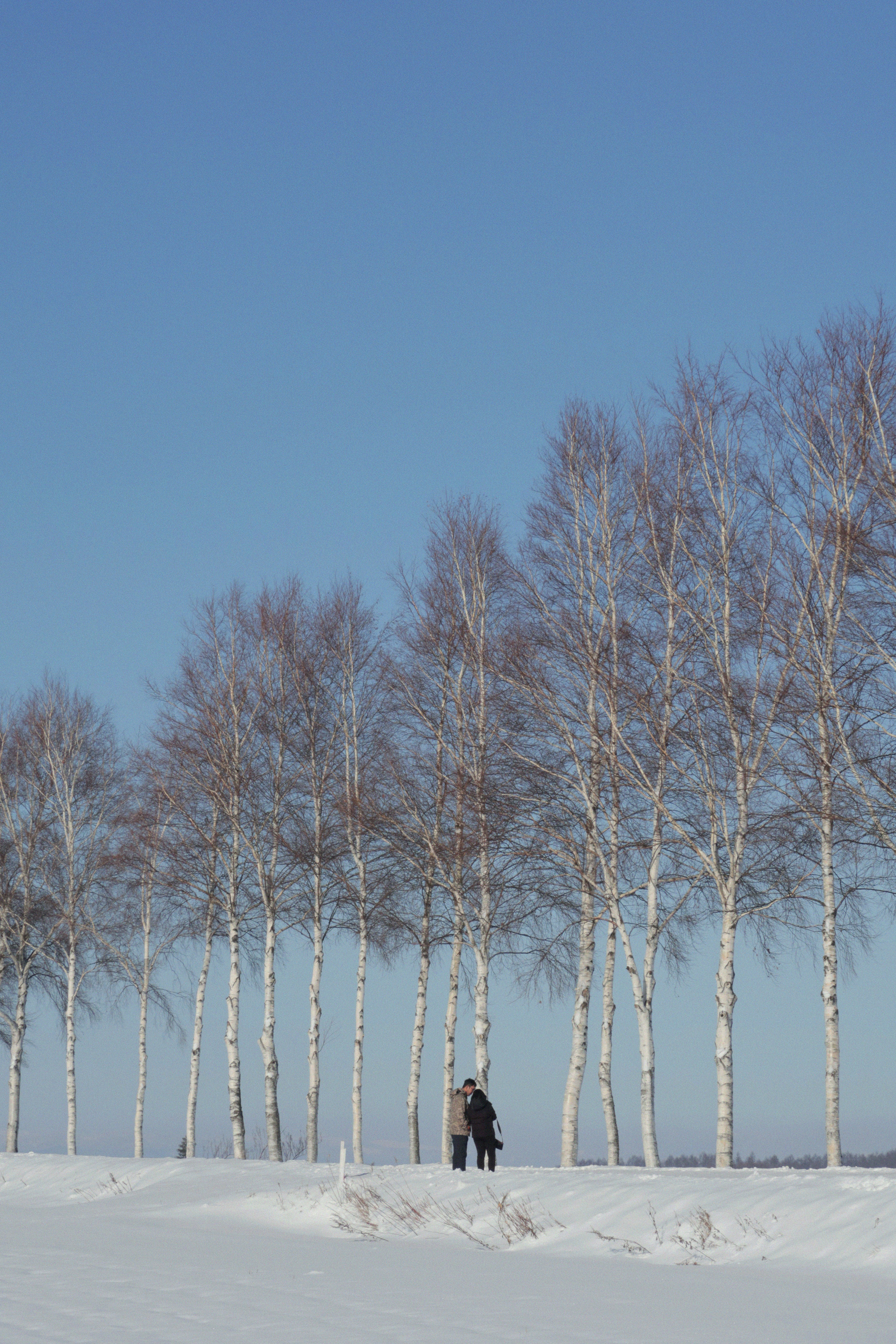 Photo by puhihihi1018