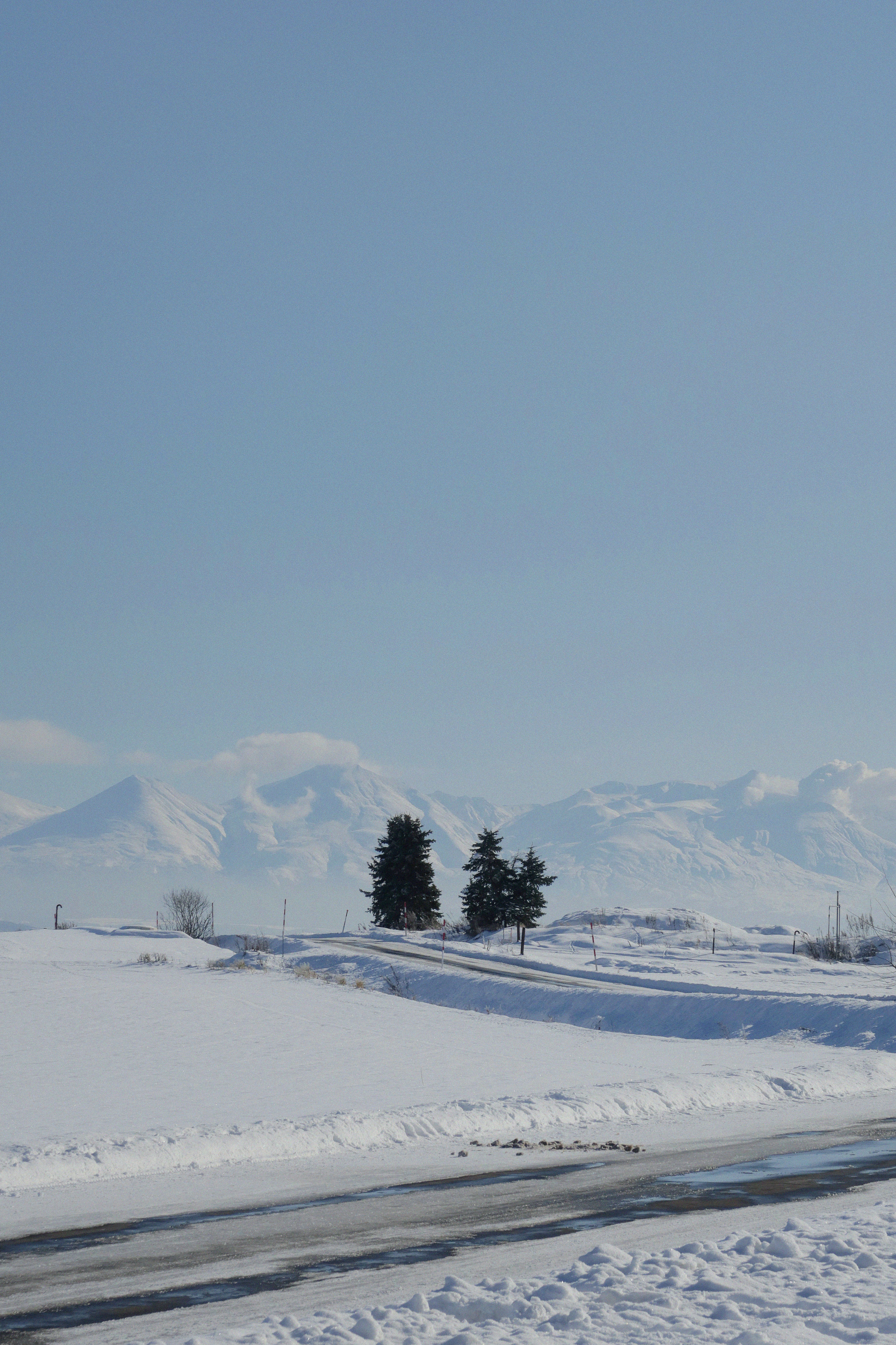 a snow covered field with trees and mountains in the background