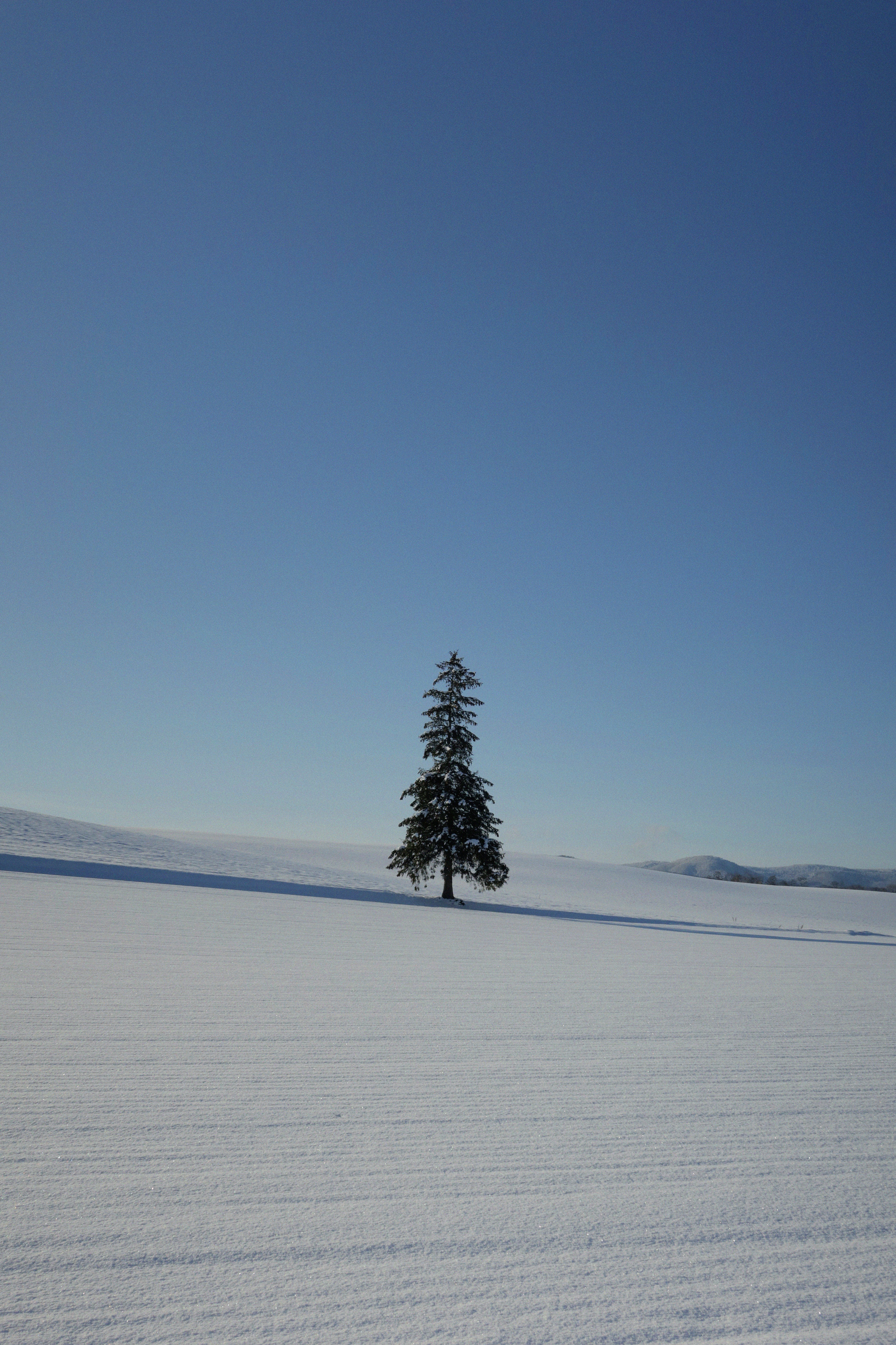 Sapporo – Transportation & Getting Around