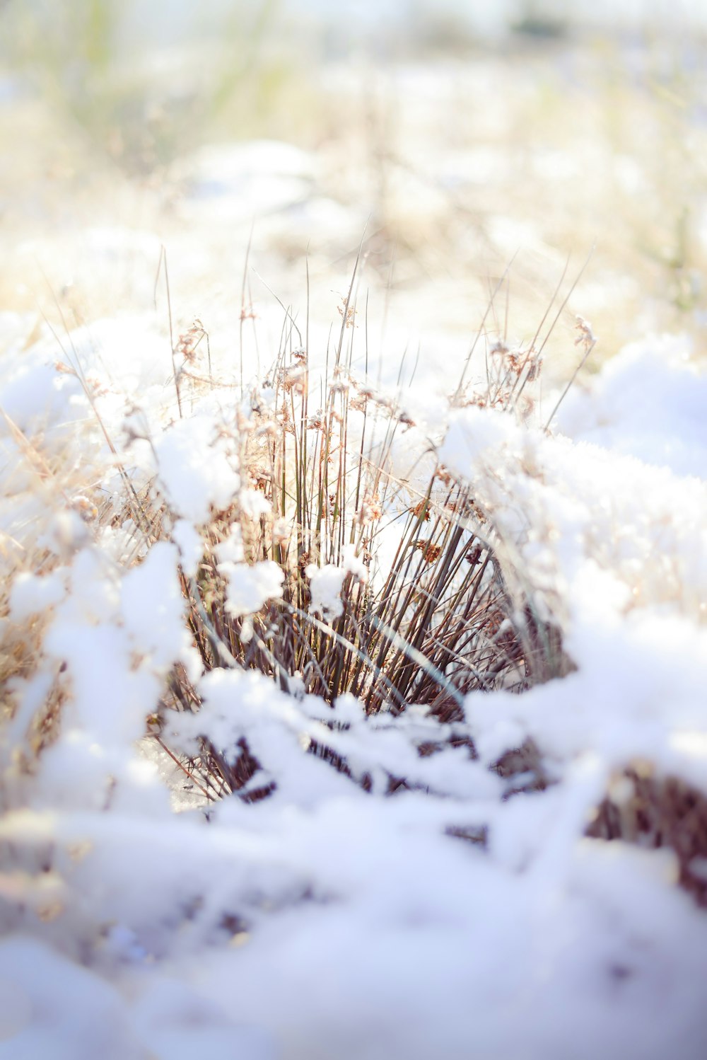 a field covered in snow next to a forest