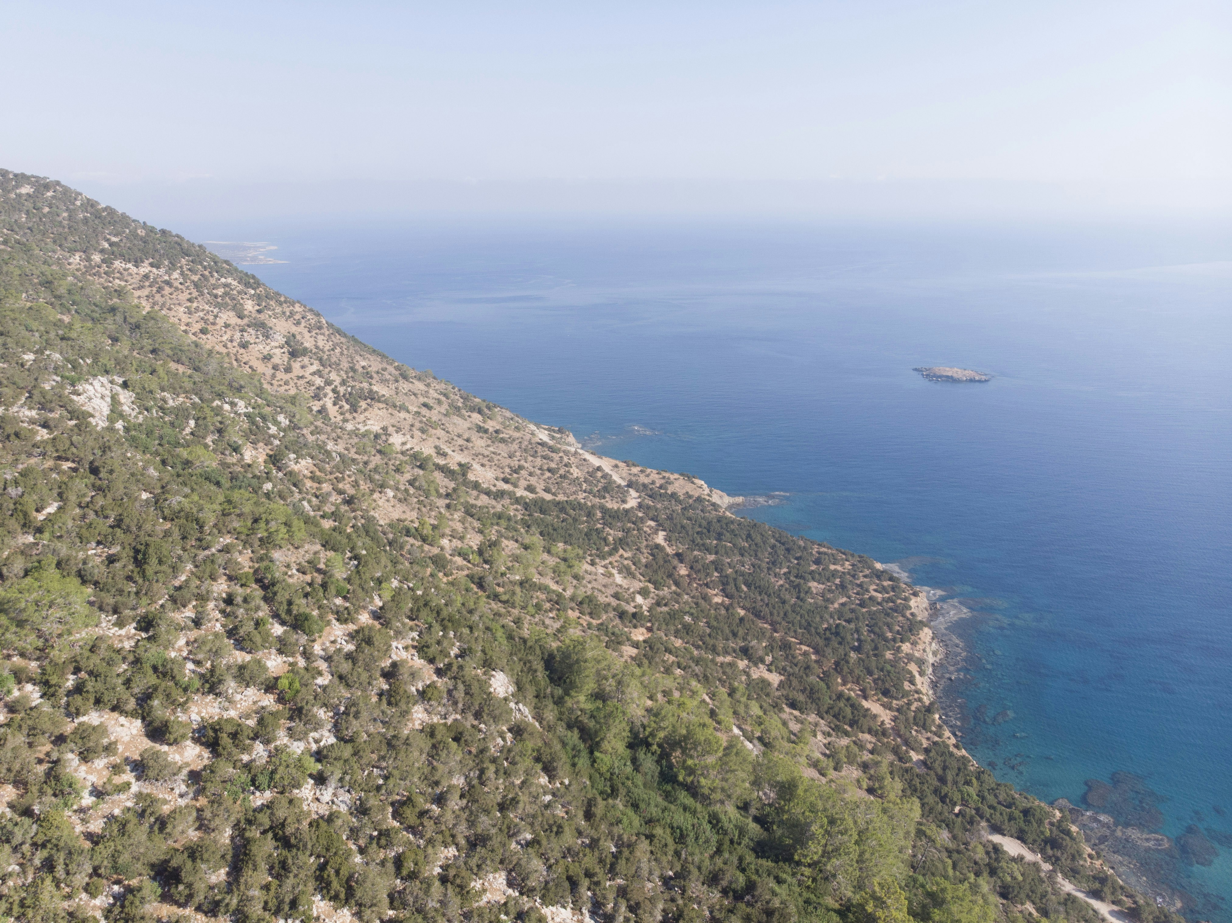 Photo by datingjungle