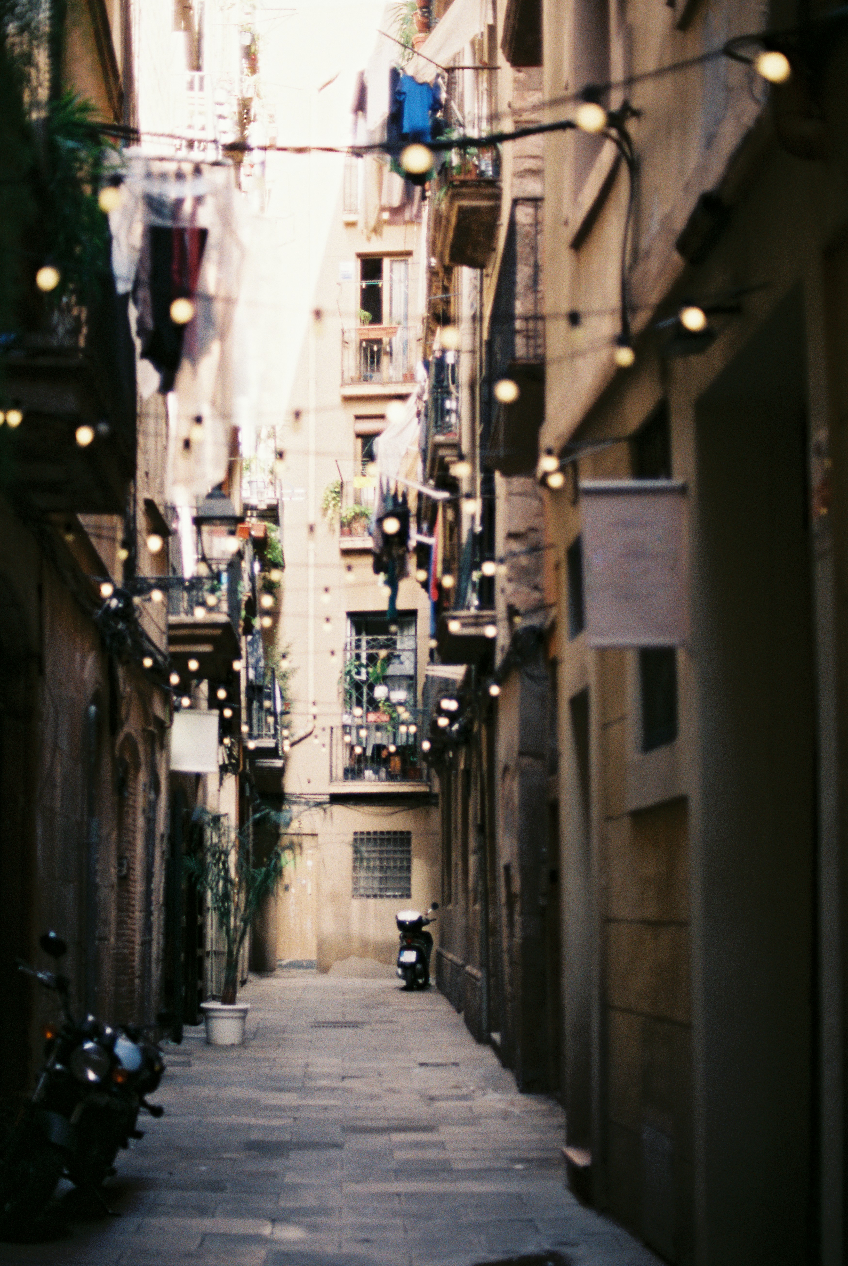 Photo by anniespratt