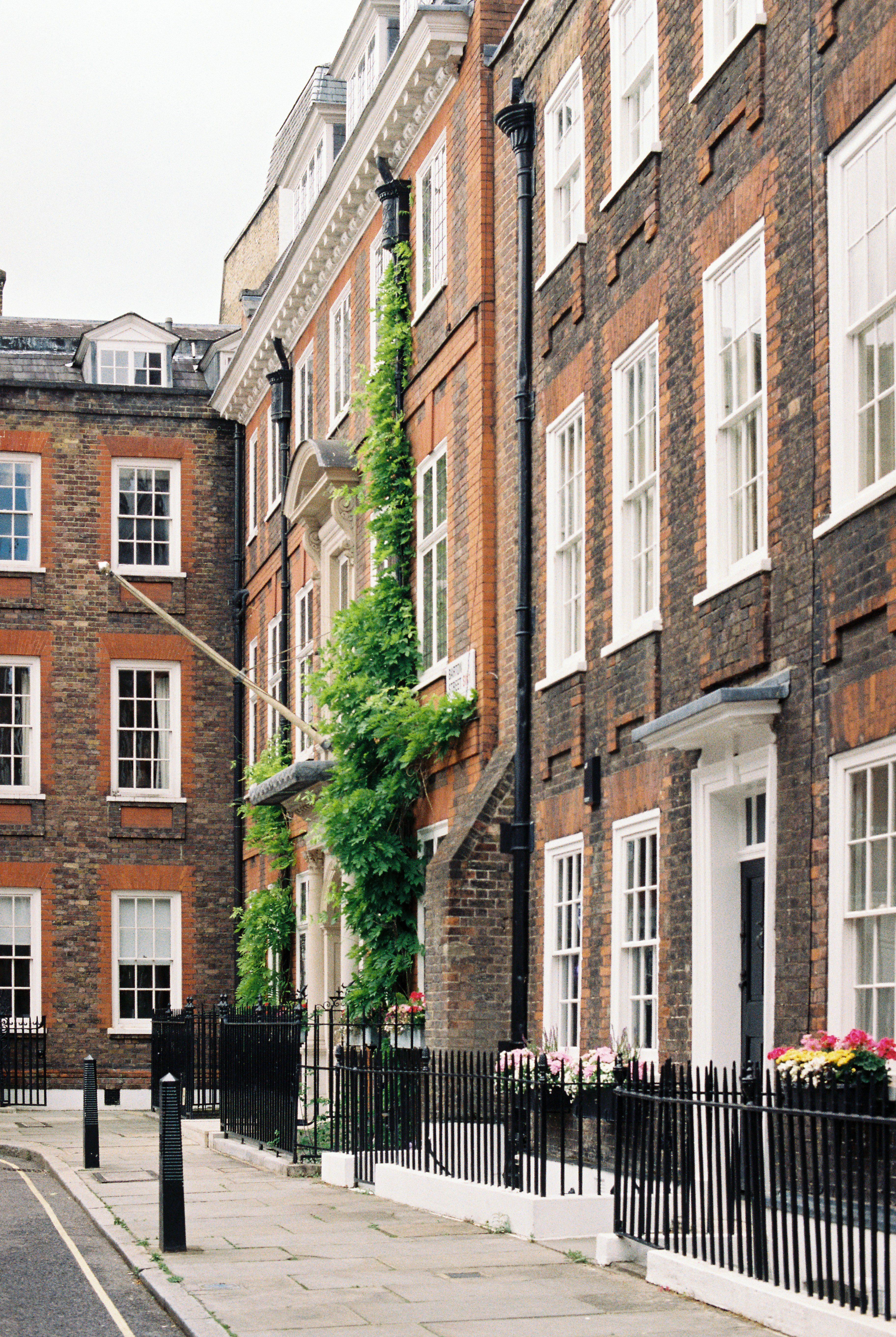 Photo by anniespratt