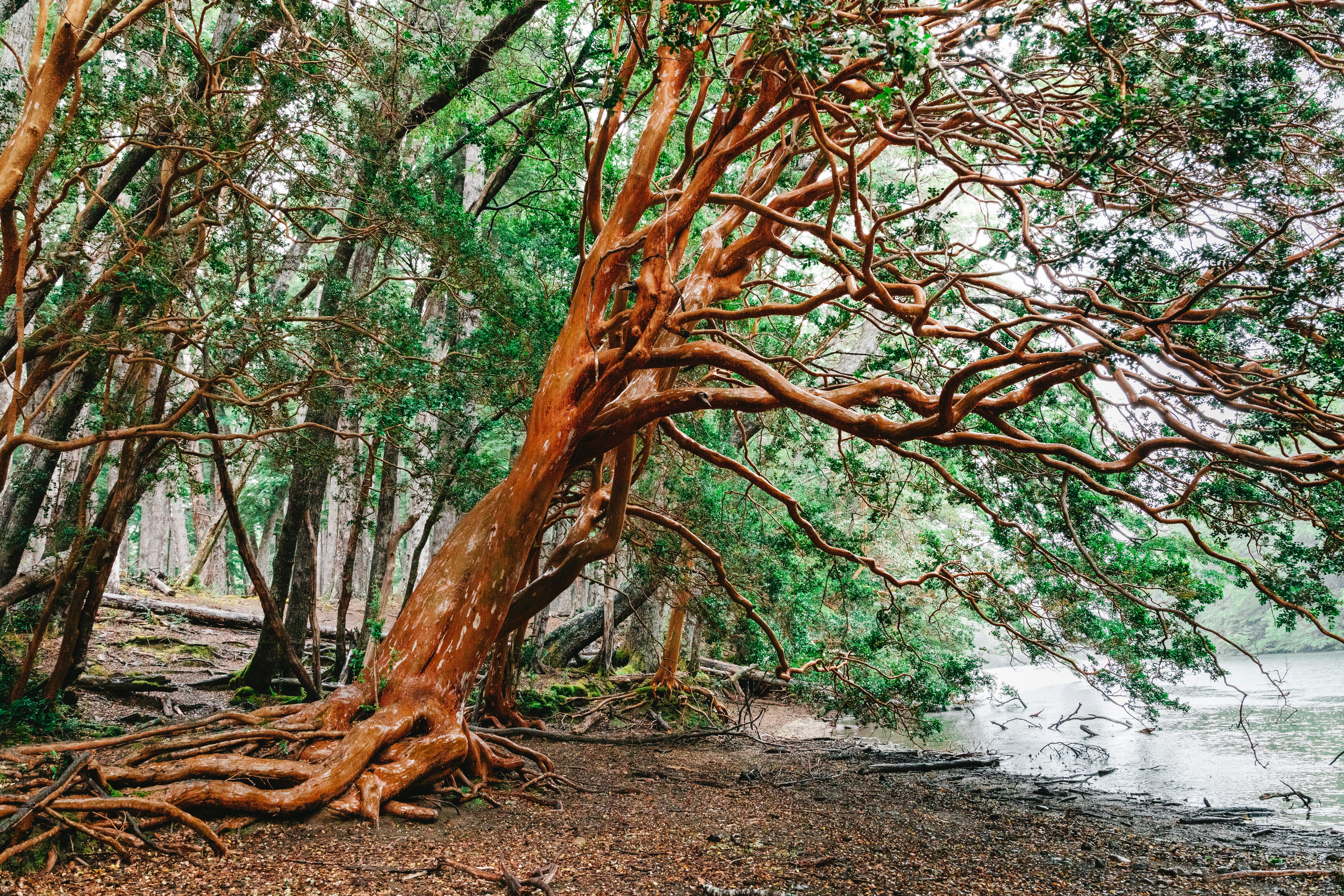 Photo by keepxploring