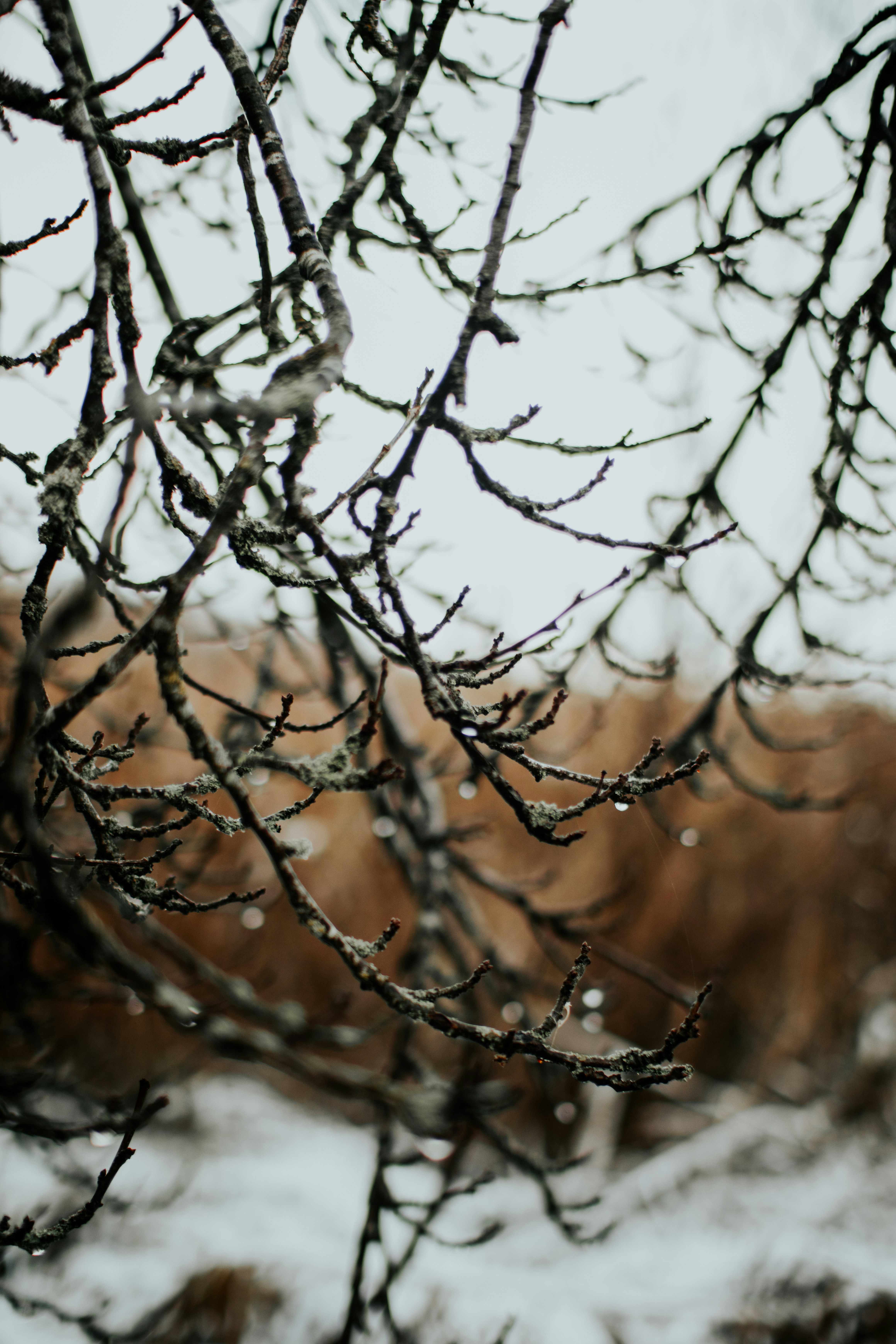 Photo by lanathegraves