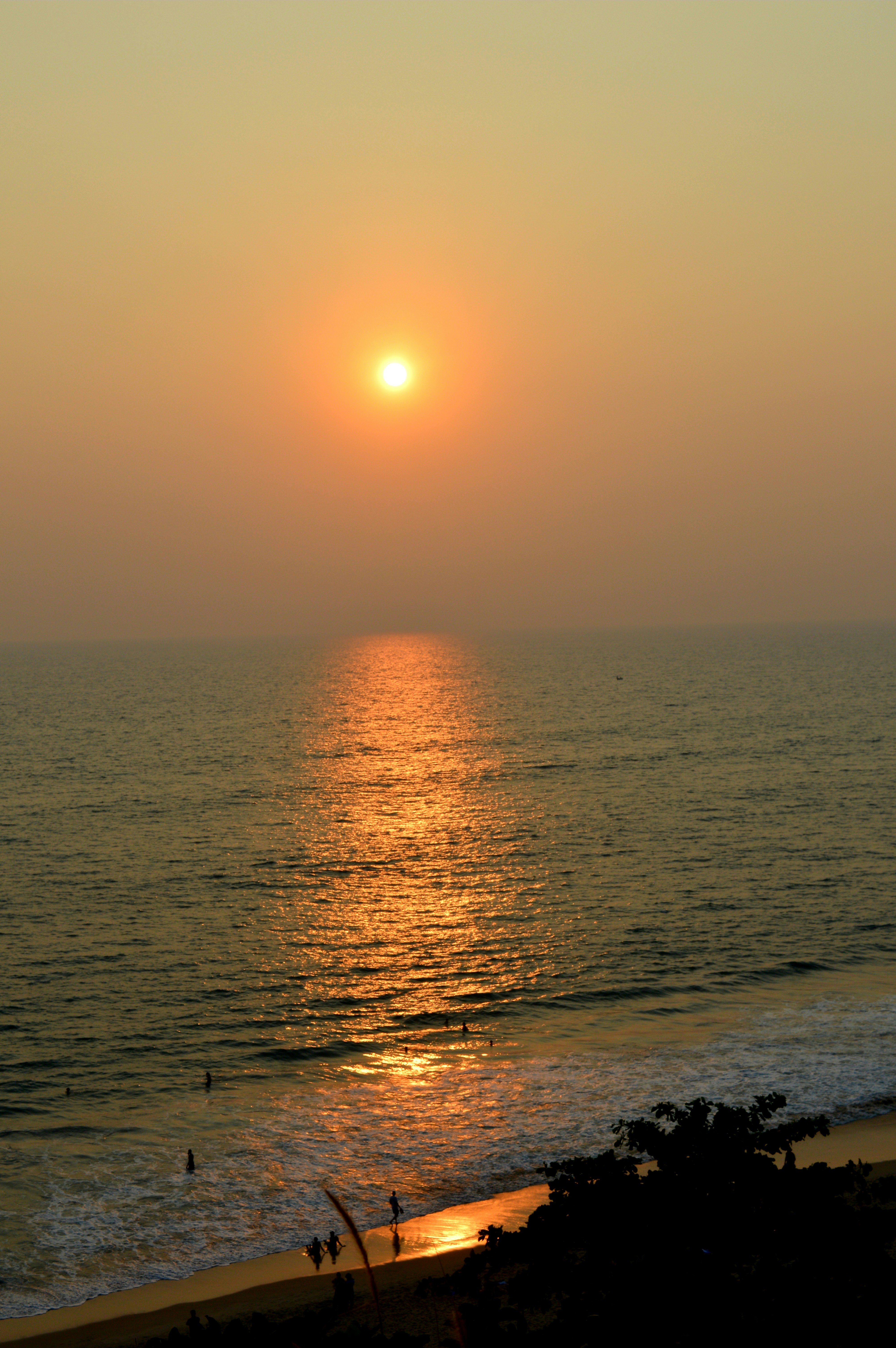 Photo by jithinvijayamohanan