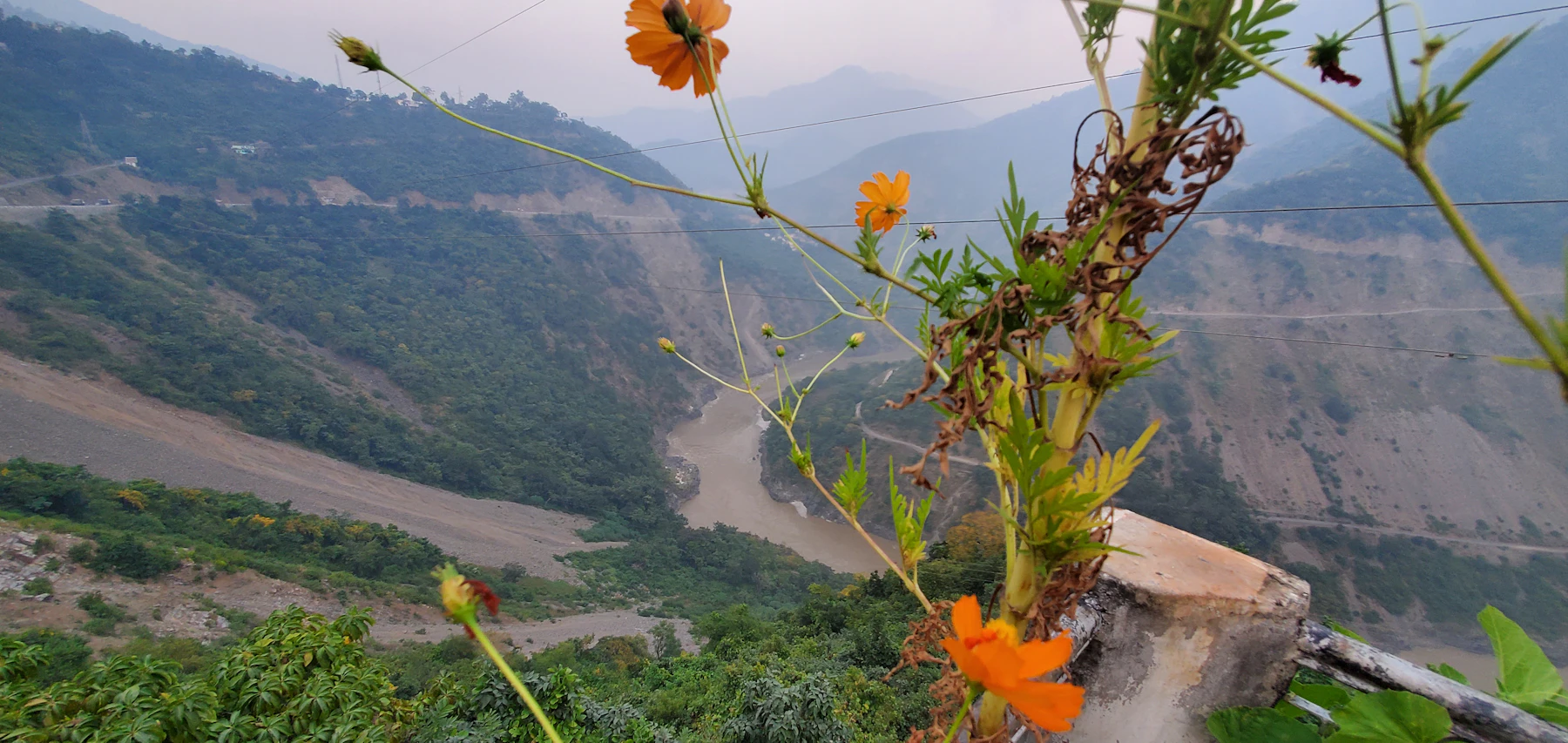 Wild orange flowers on a hillside above a terraced mountain valley