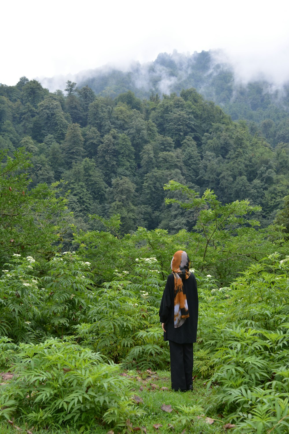 a person standing in the middle of a lush green forest