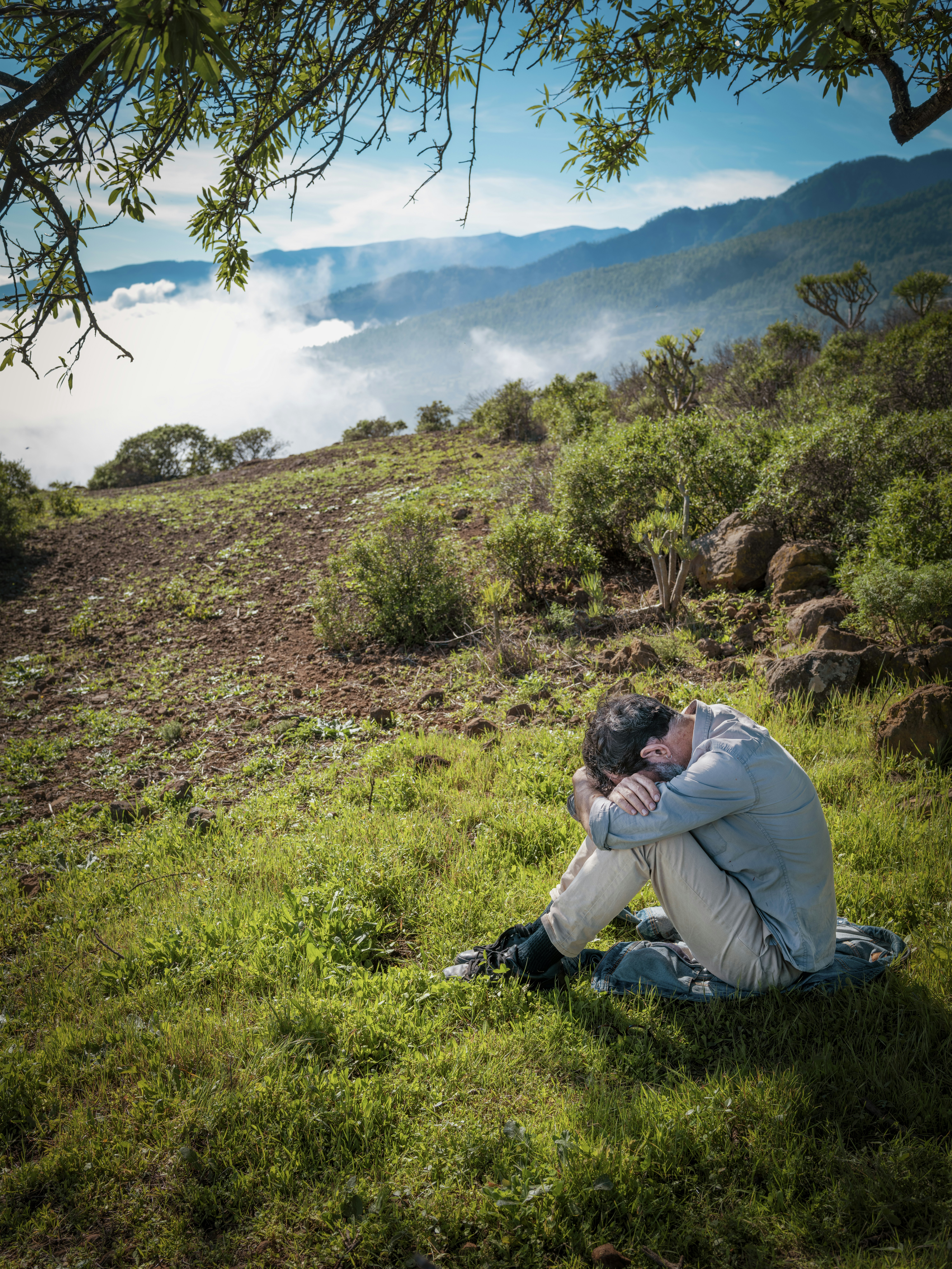 Three Questions for the Despondent Christian