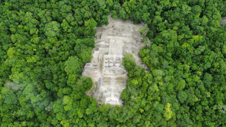 A panoramic view of the dense forest landscape with ancient ruins peeking through the trees.