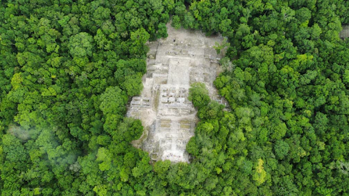 A panoramic view of the dense forest landscape with ancient ruins peeking through the trees.