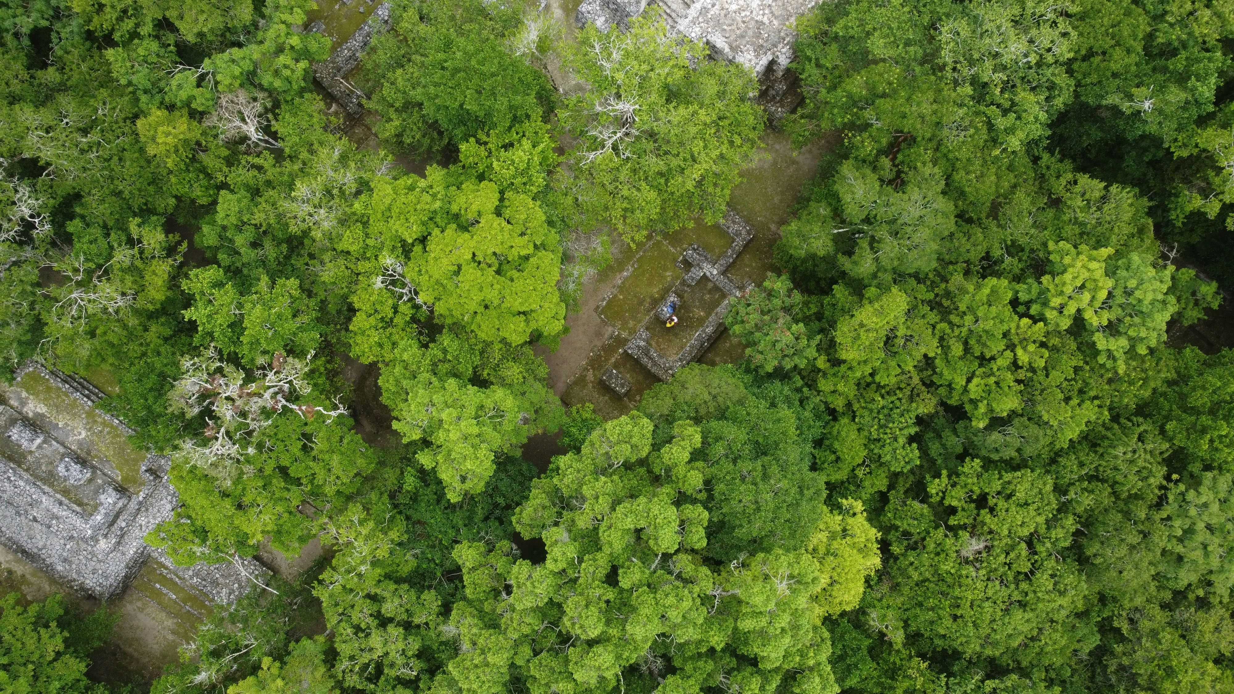 Photo by paudevalencia