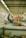 A person is lying on a freezer in a grocery store aisle, with one leg raised. They are holding a bag of snacks close to their face in a playful manner. The store interior is visible, with signs and shelves stocked with various products.