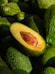 Avocat