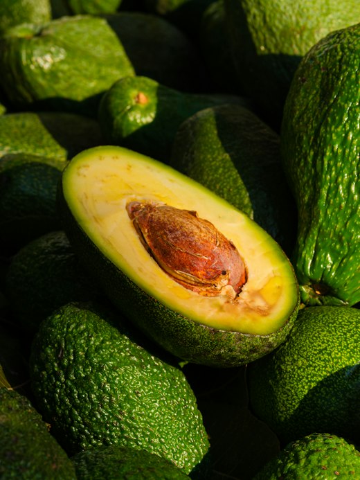 Avocats