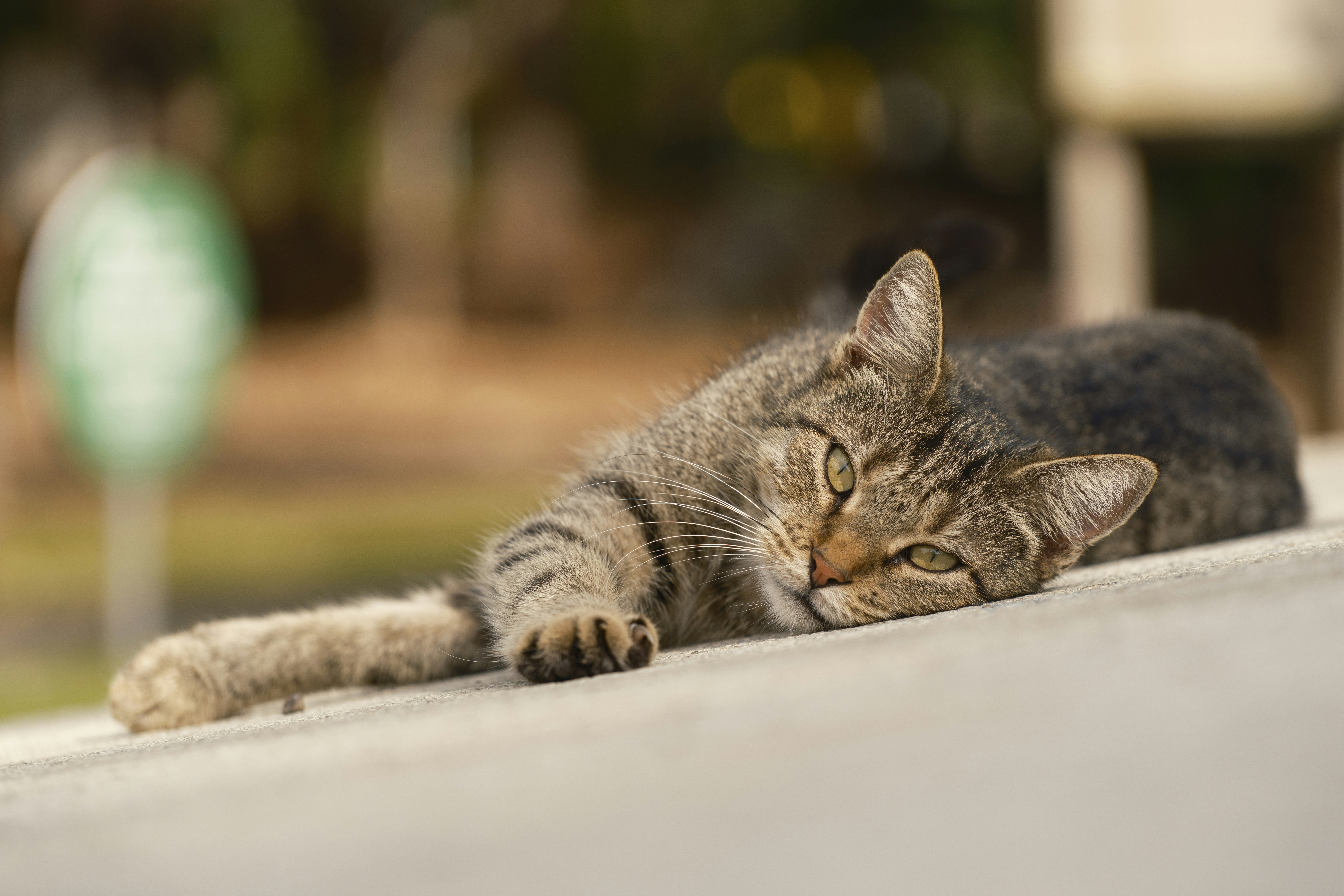 Photo by enginakyurt