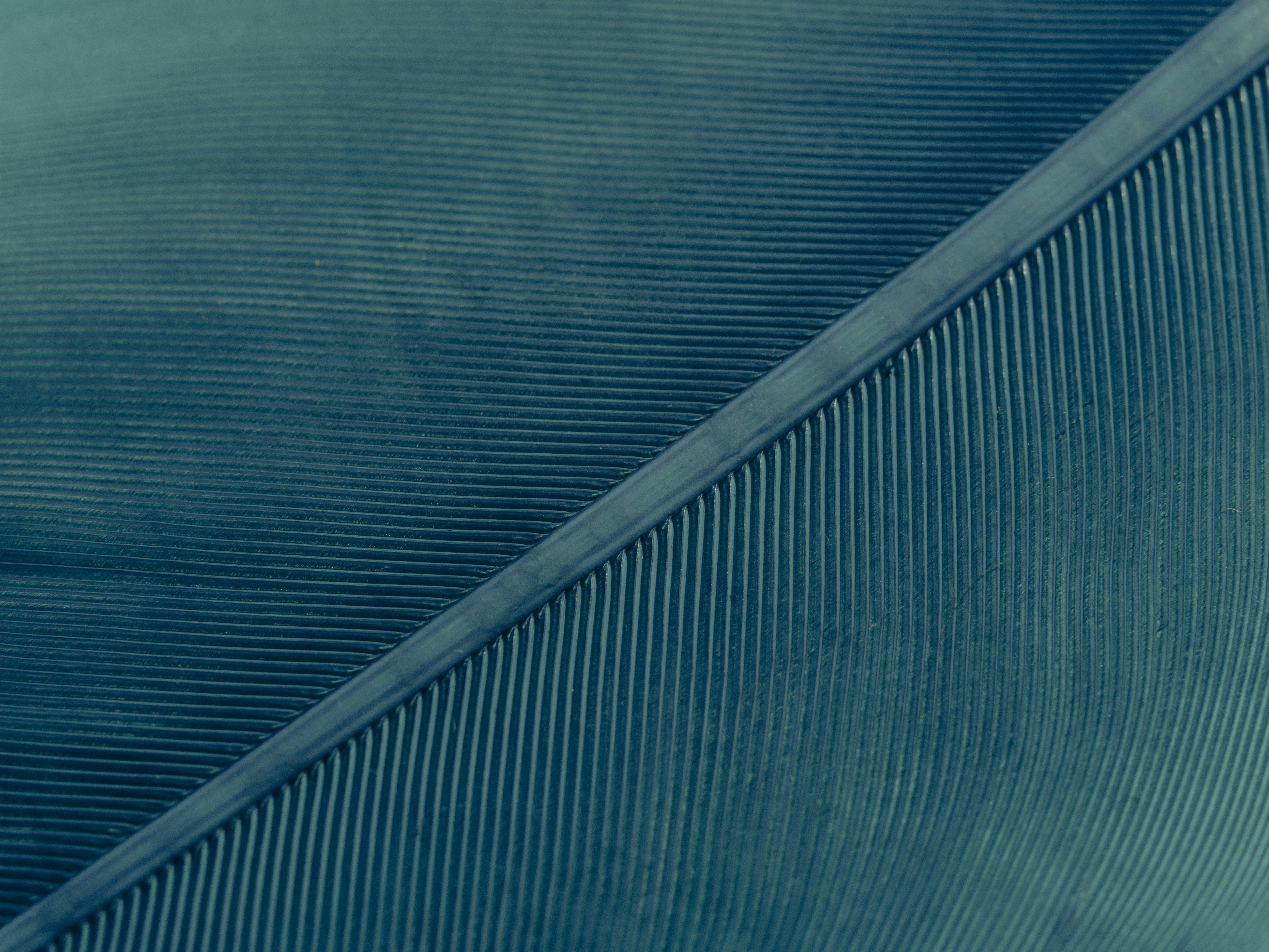 Photo by enginakyurt