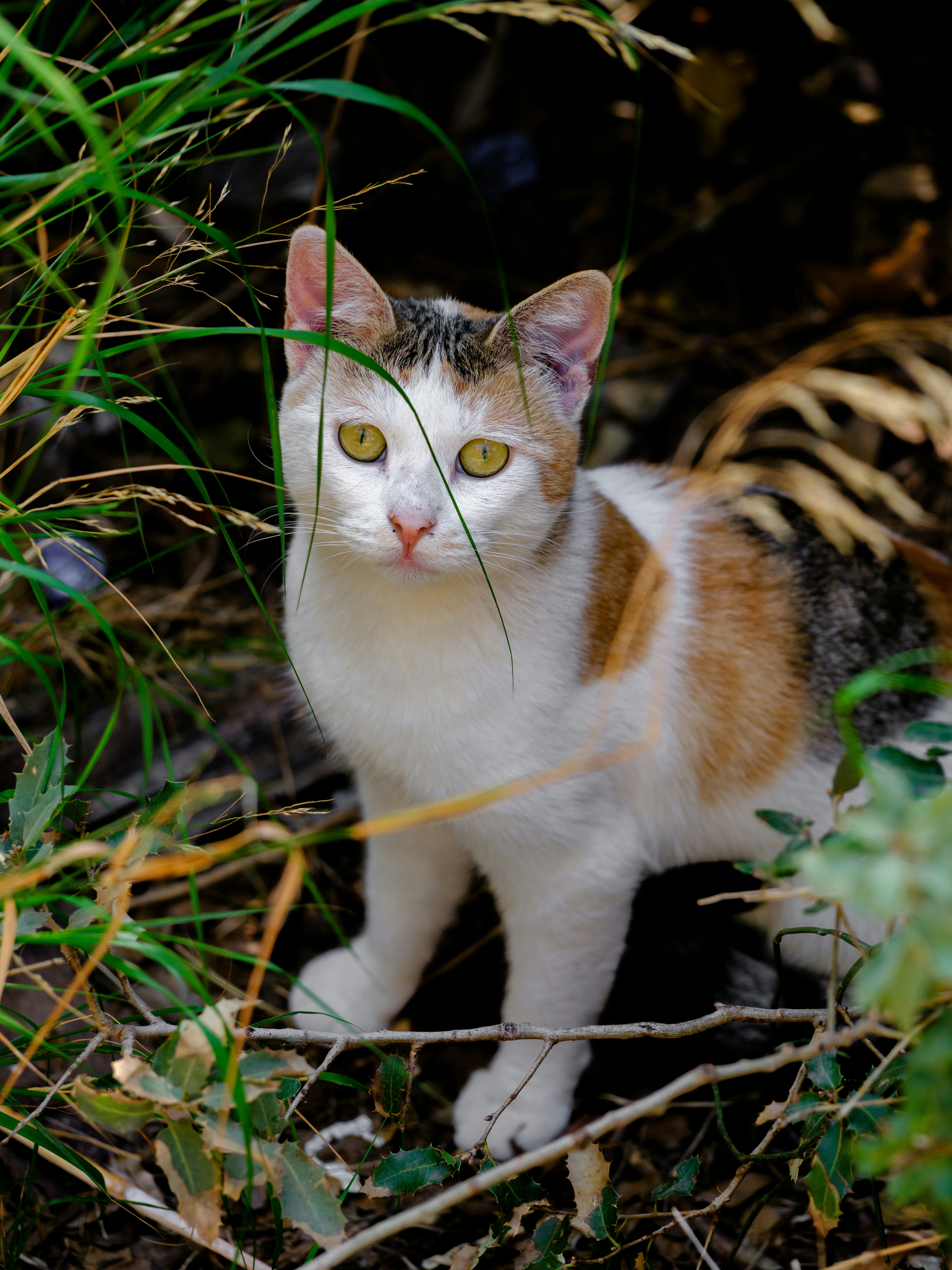 Photo by enginakyurt