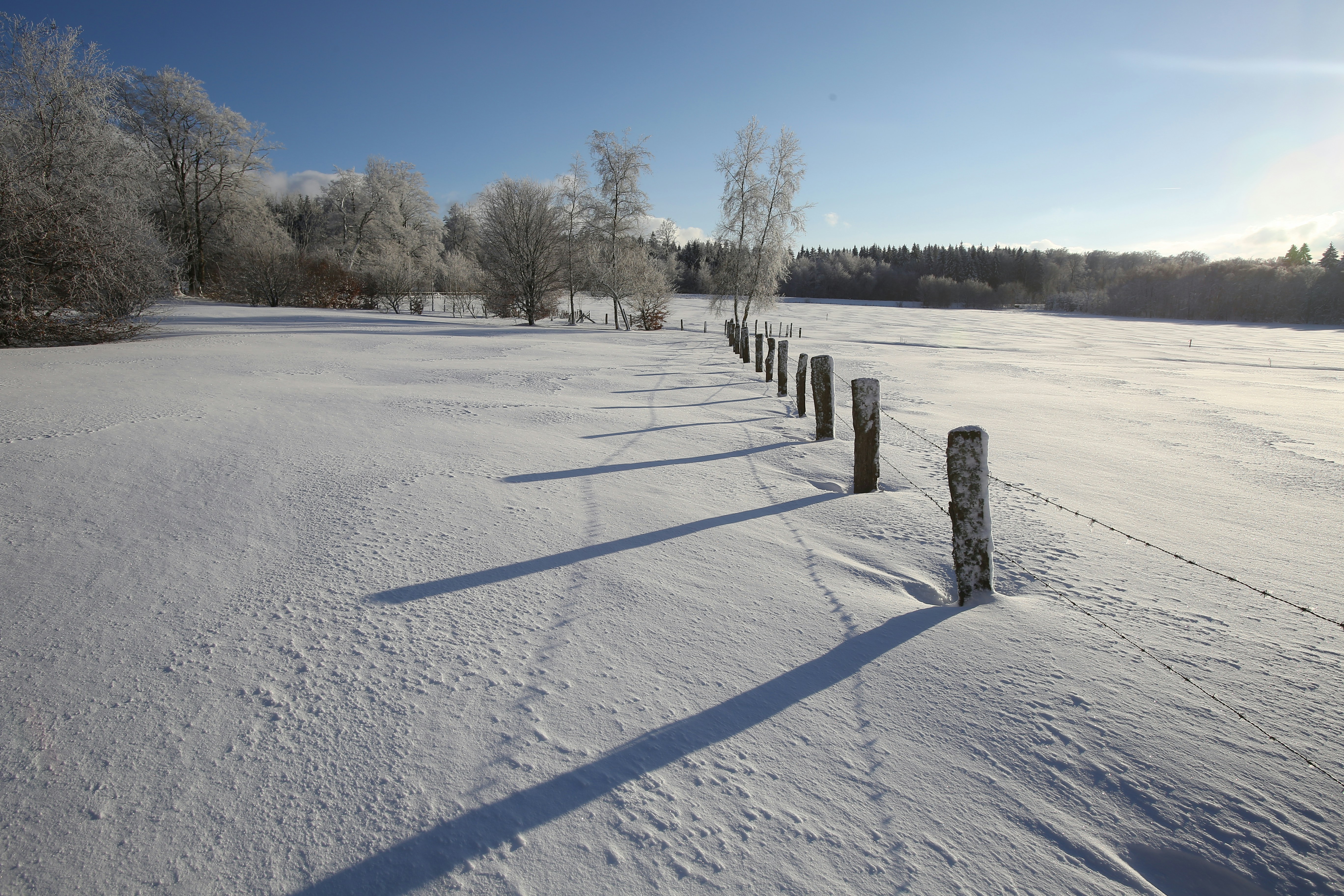 a snow covered field with trees and a fence