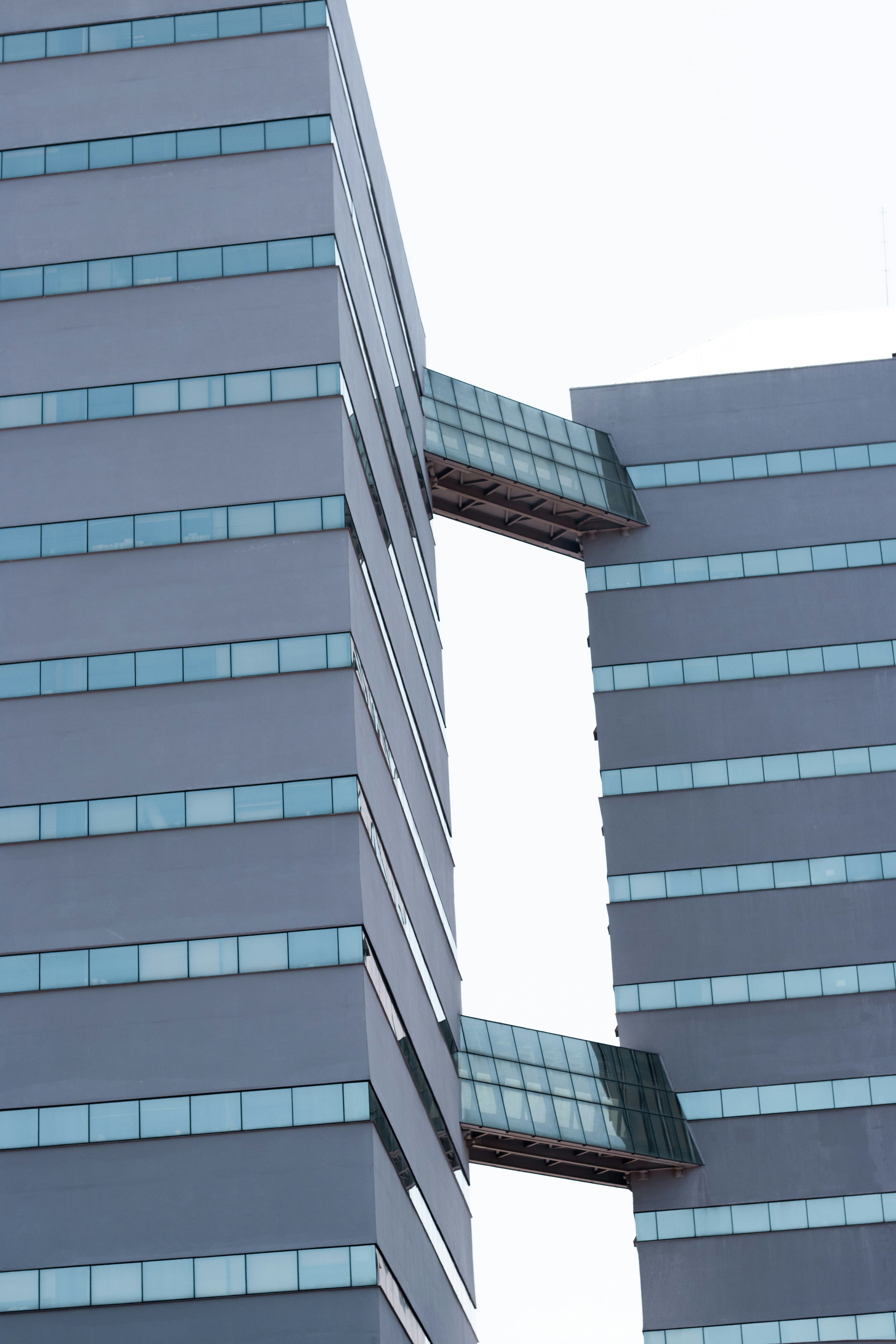 Photo by thipatriota