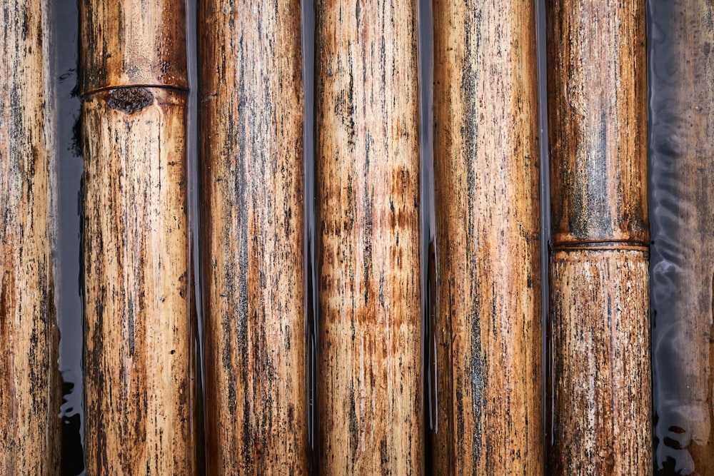 a close up of a bunch of bamboo poles