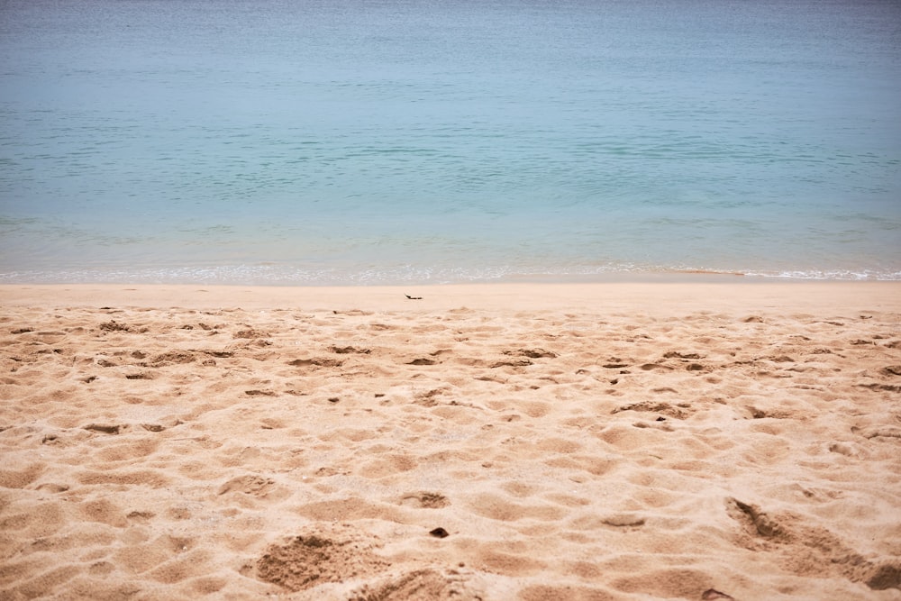 a surfboard is laying on a sandy beach