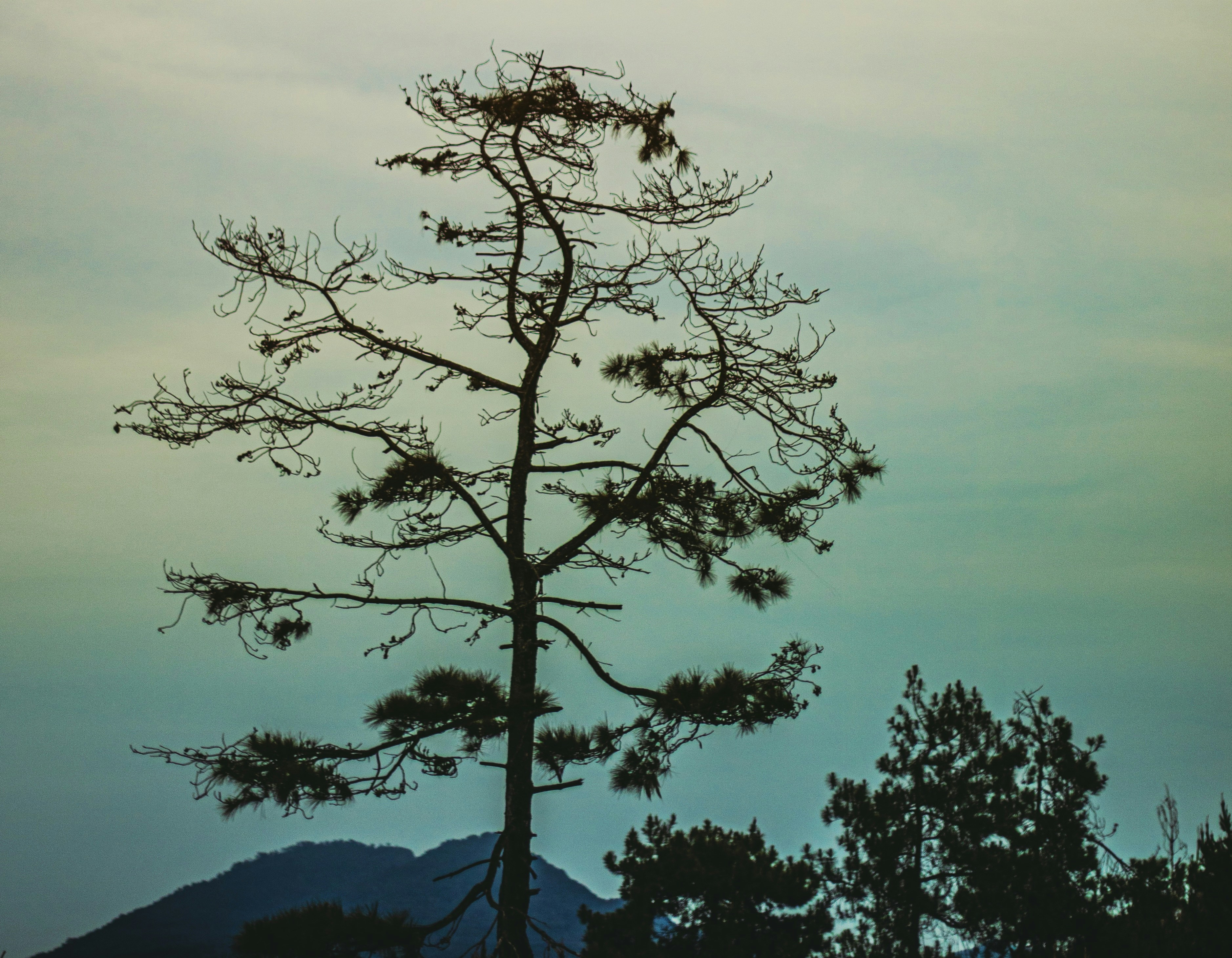 Photo by alvirdaus