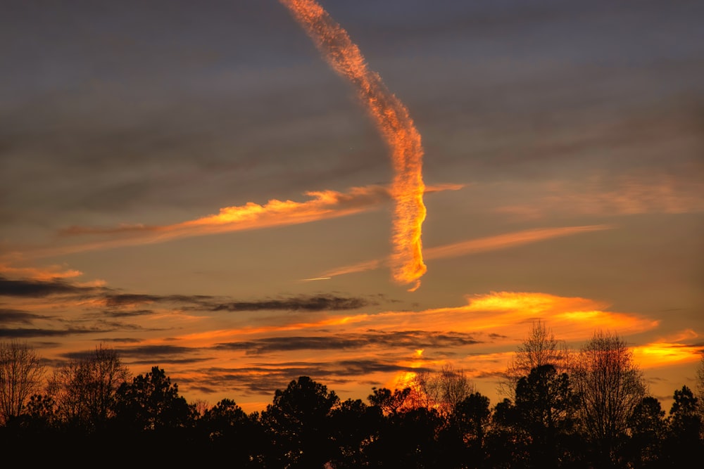 Une traînée de condensation est vue dans le ciel au-dessus des arbres