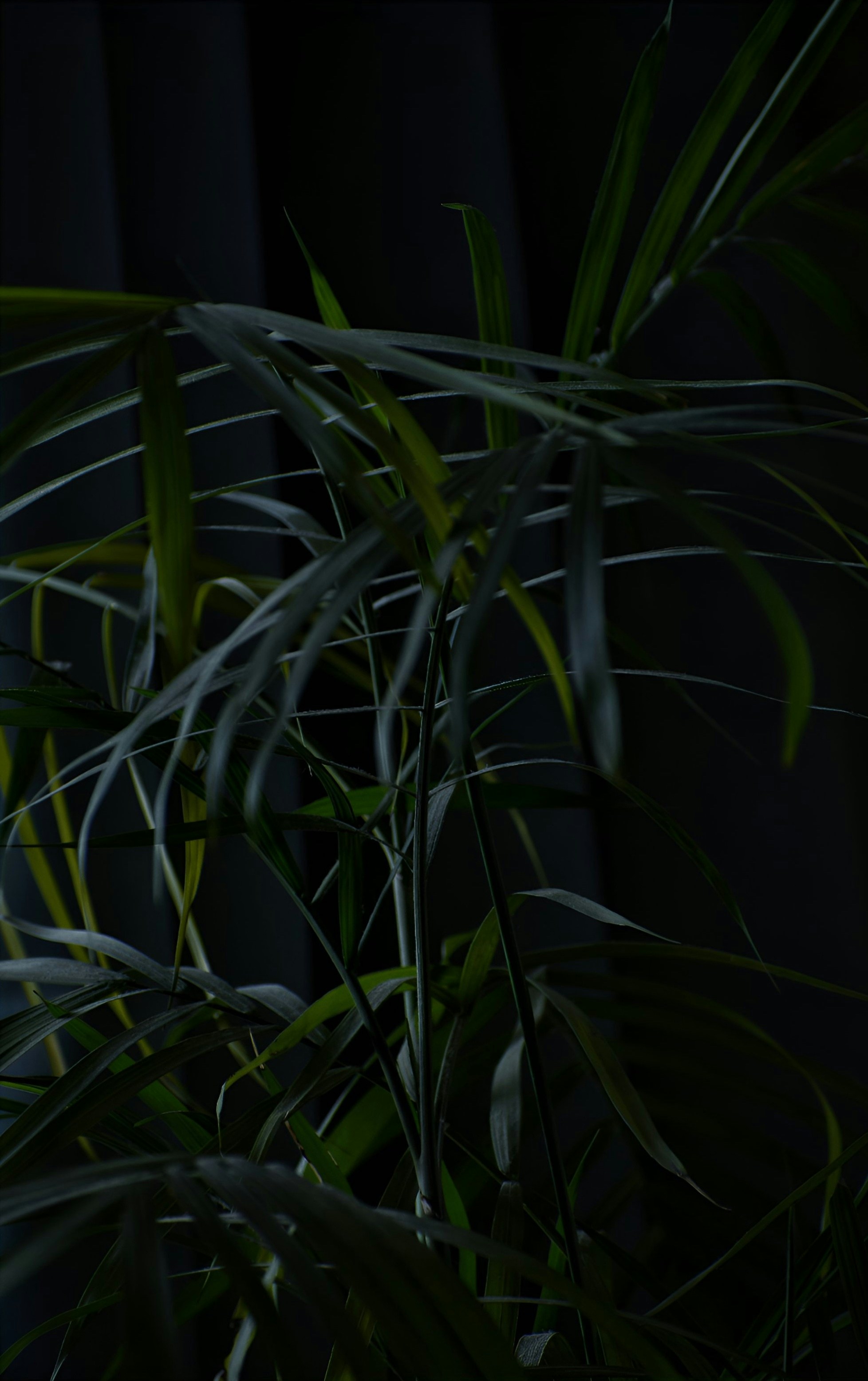 Photo by v_i_s_h_n_u