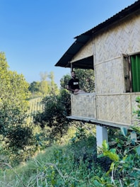 A person is sitting on the edge of a bamboo house elevated on stilts, surrounded by lush greenery. The house features a woven bamboo pattern on its walls and a metal roof. Trees and dense foliage dominate the background, with a clear blue sky overhead.
